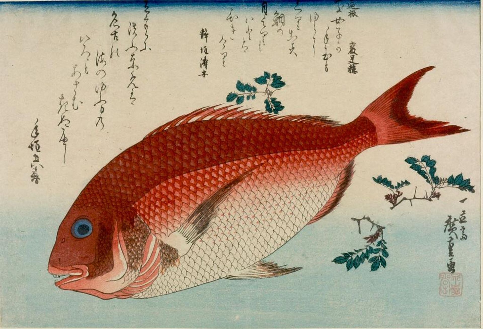Red Seabream (Madai) and Japanese Pepper Leaves (SanshoÌ), from the series A Shoal of Fishes (Uozukushi) by Utagawa Hiroshige