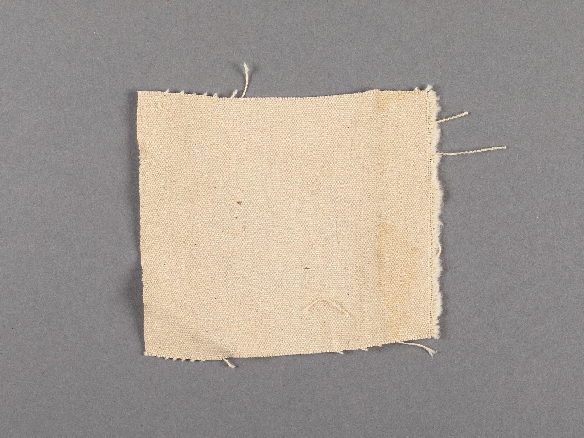 Canvas fragment by Barnett Newman