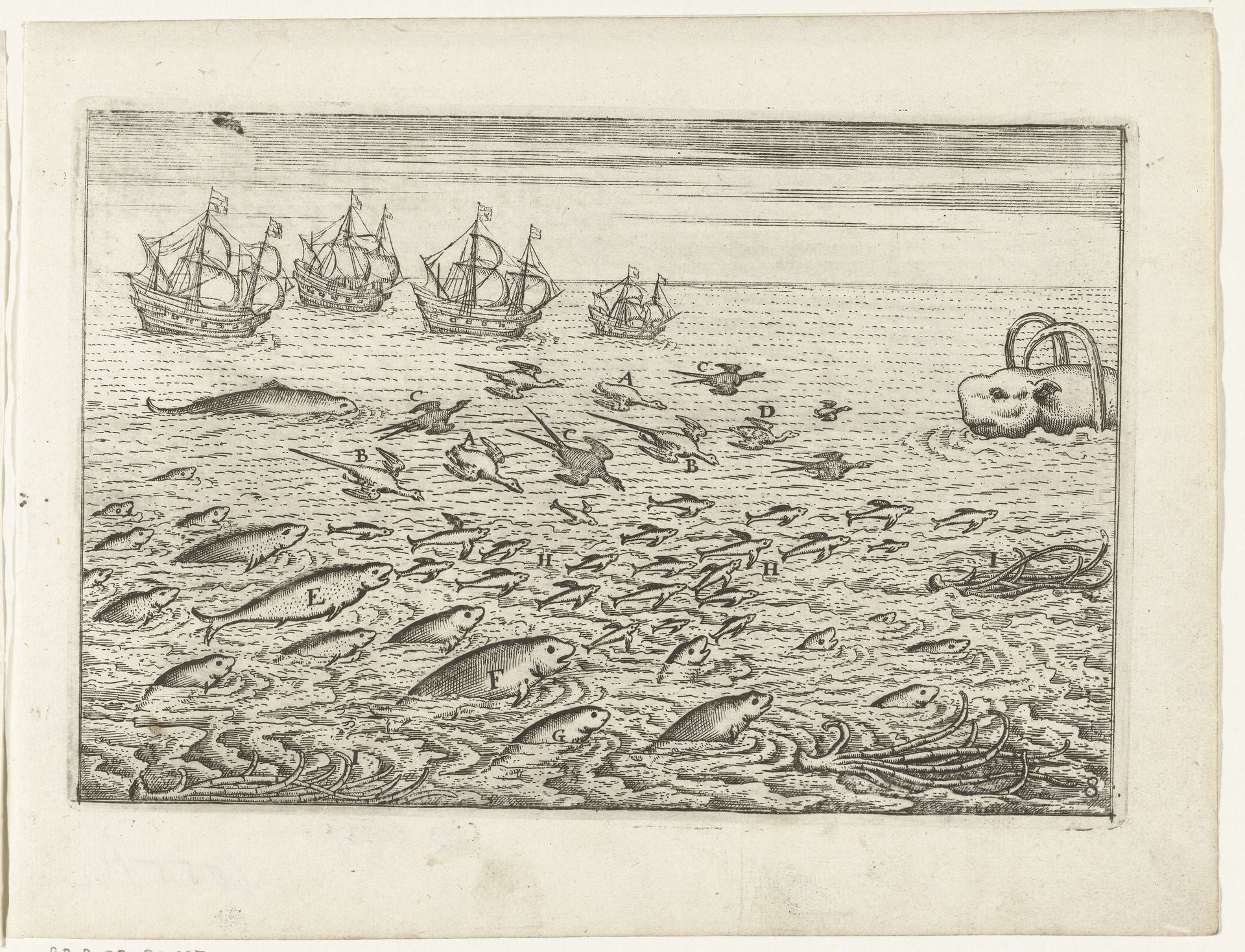 Vliegende vissen, 1595 by Anonymous