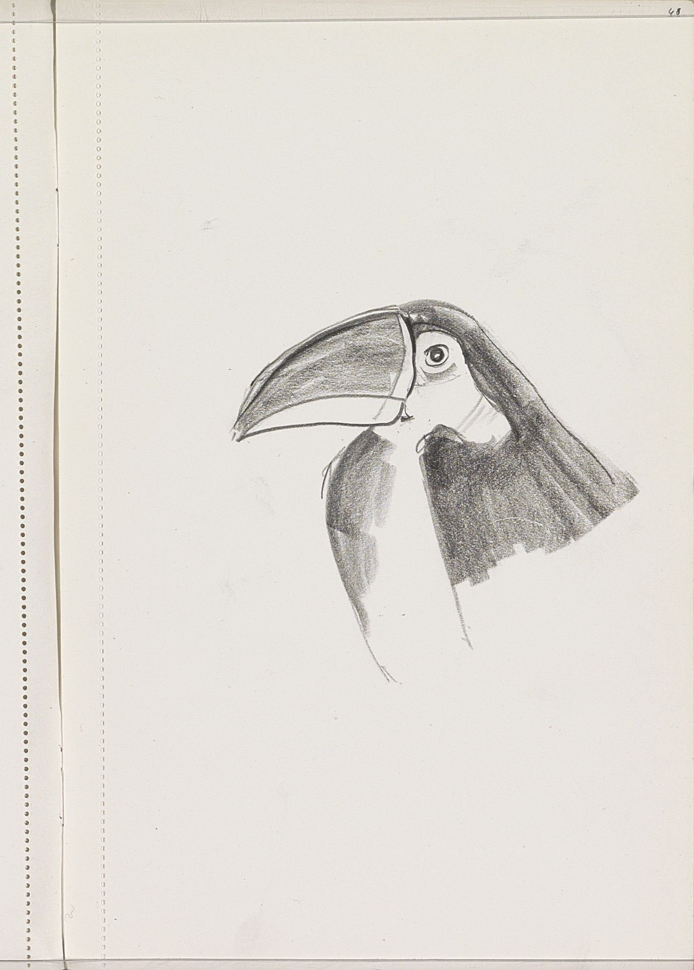 Kop van een toekan by Otto Verhagen
