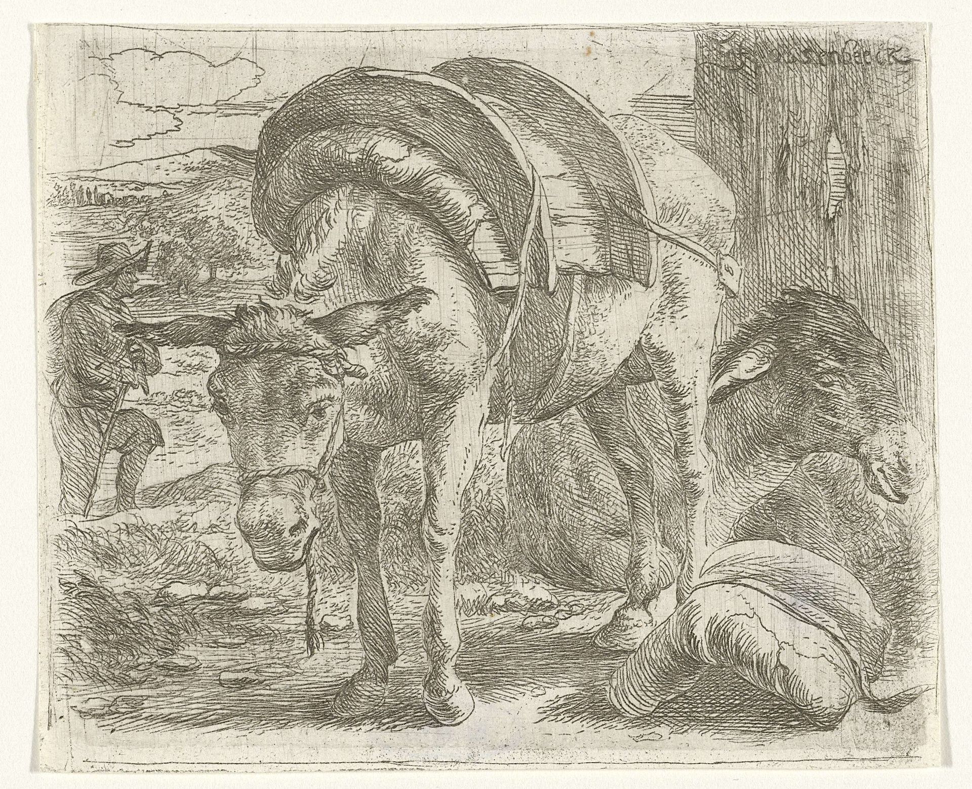 Pakezel by Jan van Ossenbeeck