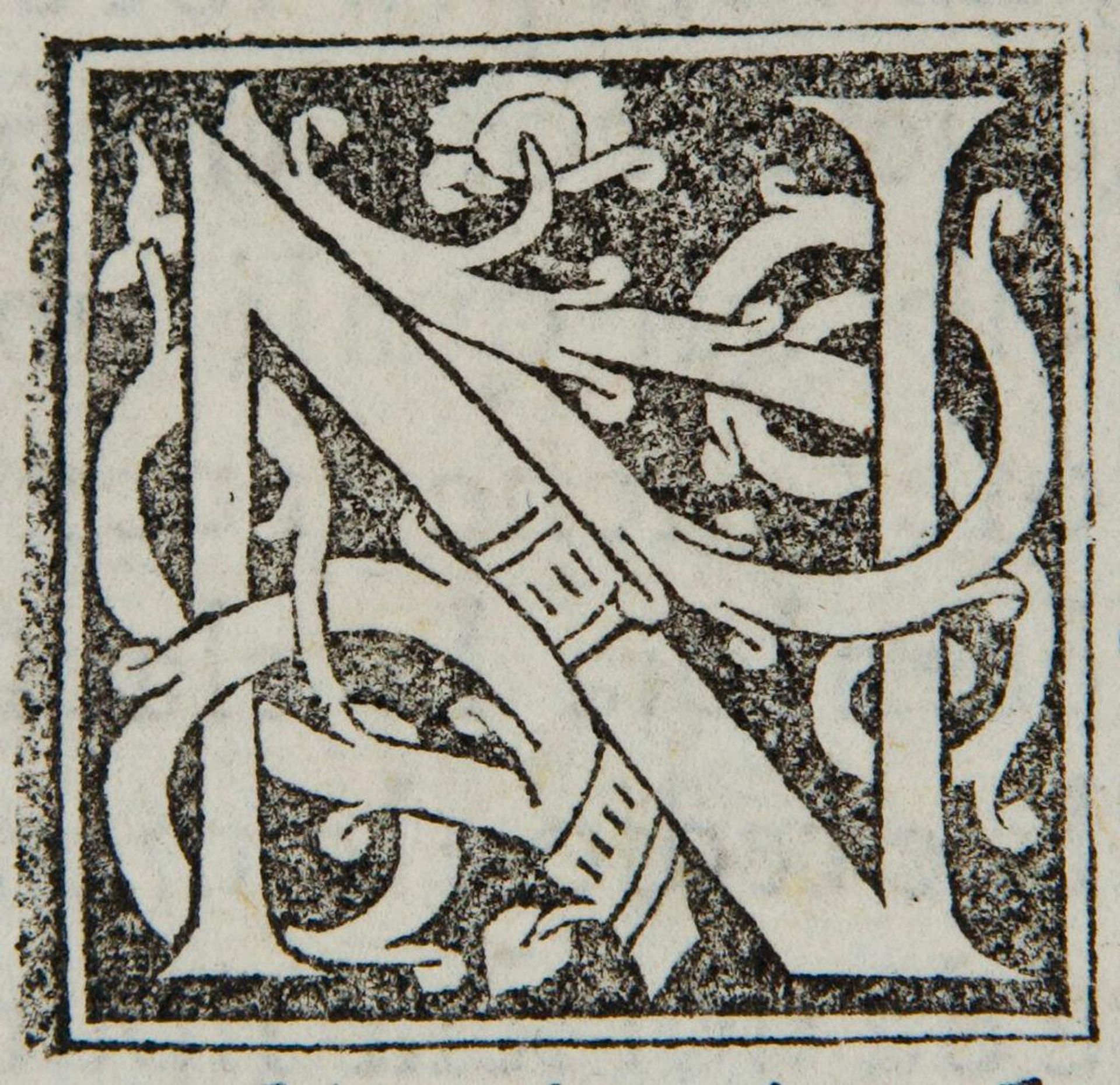 Letter N by Anonymous