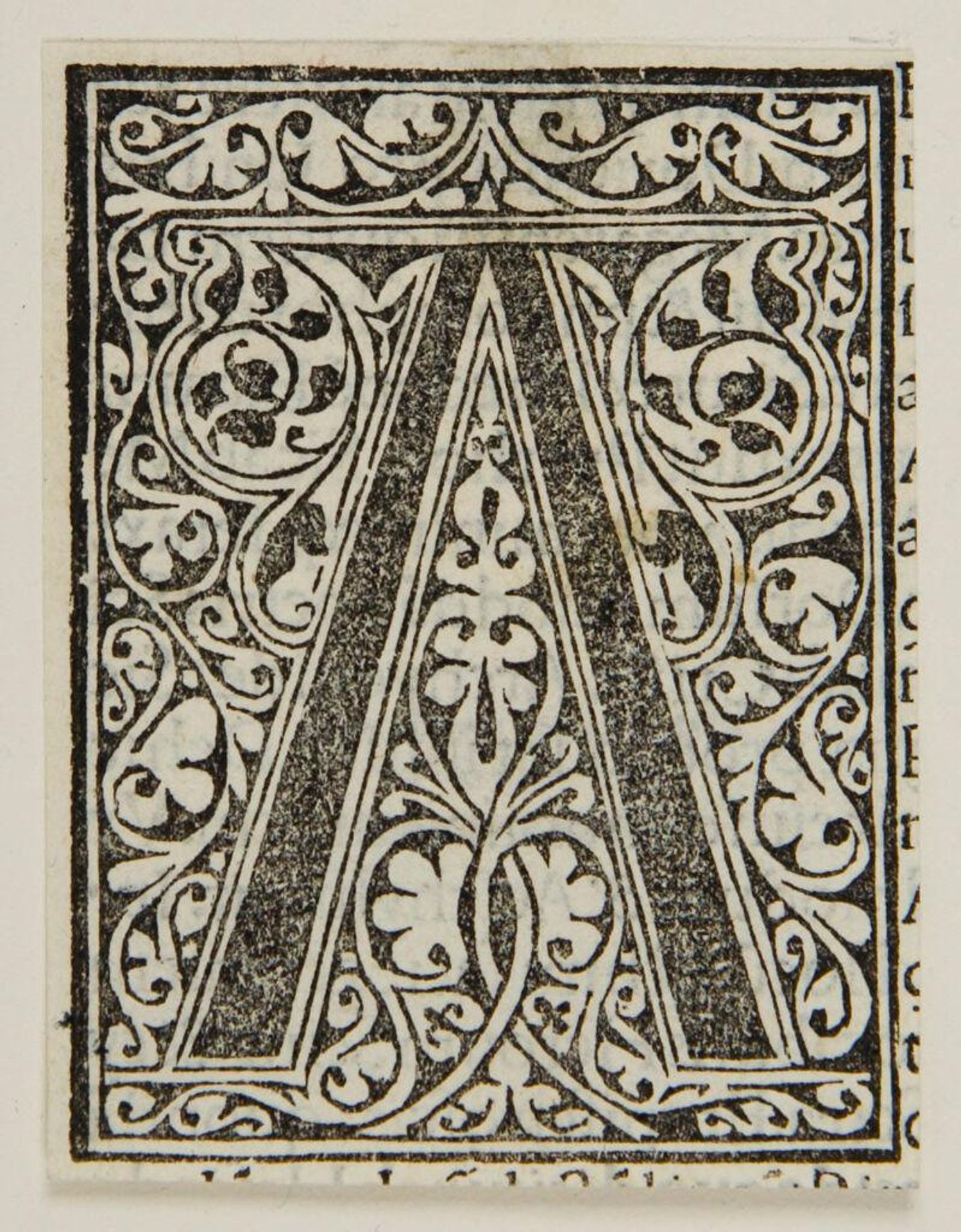 Letter V by Anonymous