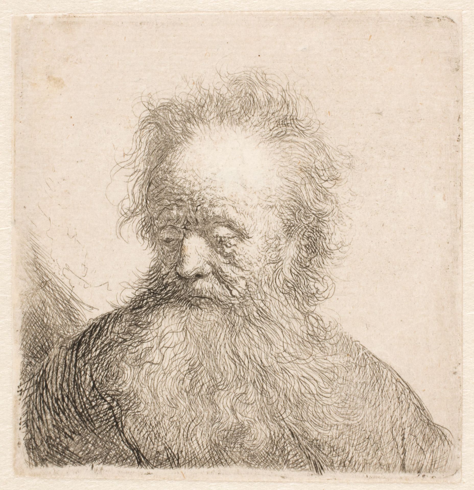Bust of an old man with flowing beard: head nearly erect: eyes cast down: looking slightly left by Rembrandt van Rijn
