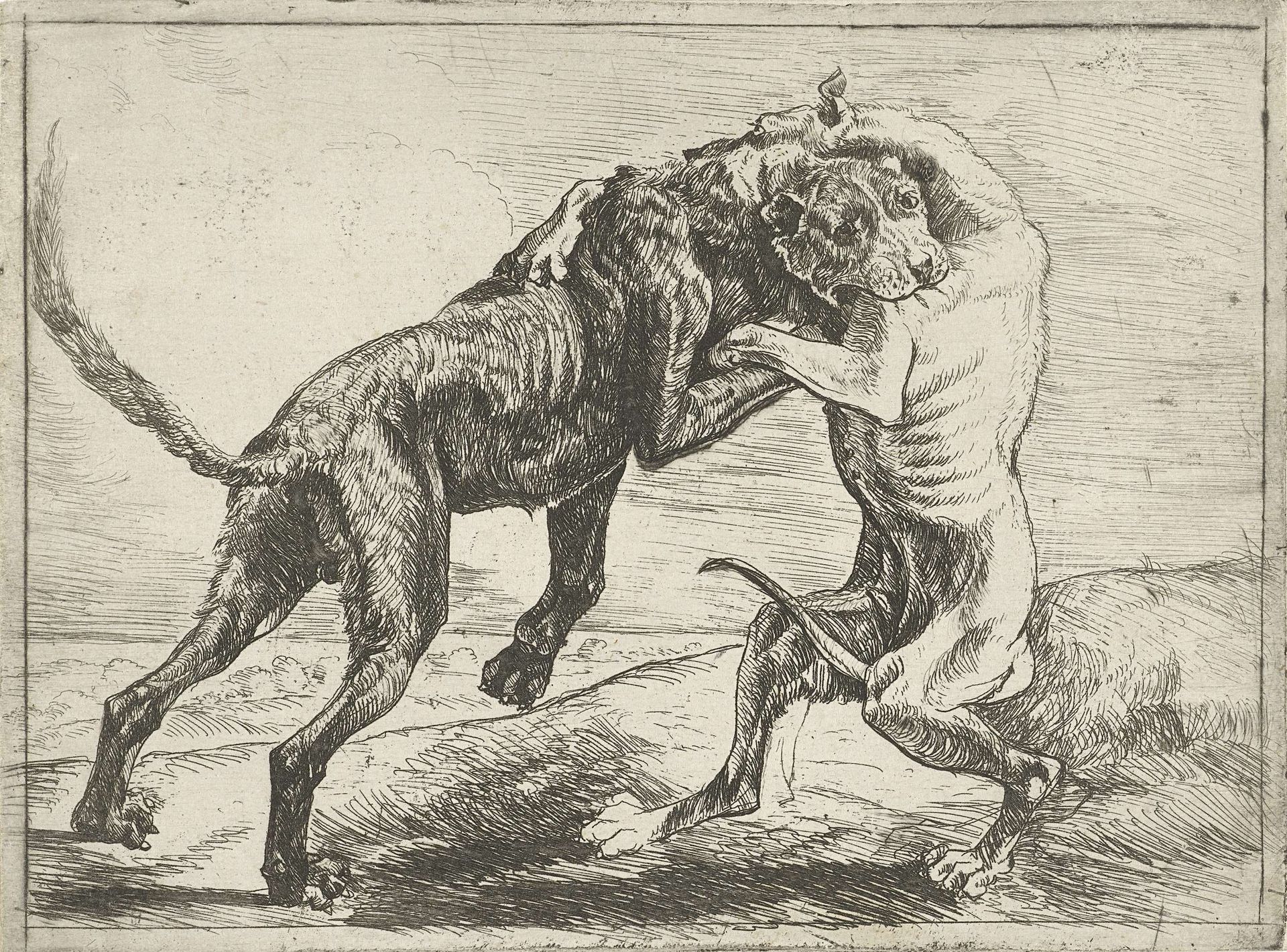 Twee vechtende honden by Pauwels van Hillegaert