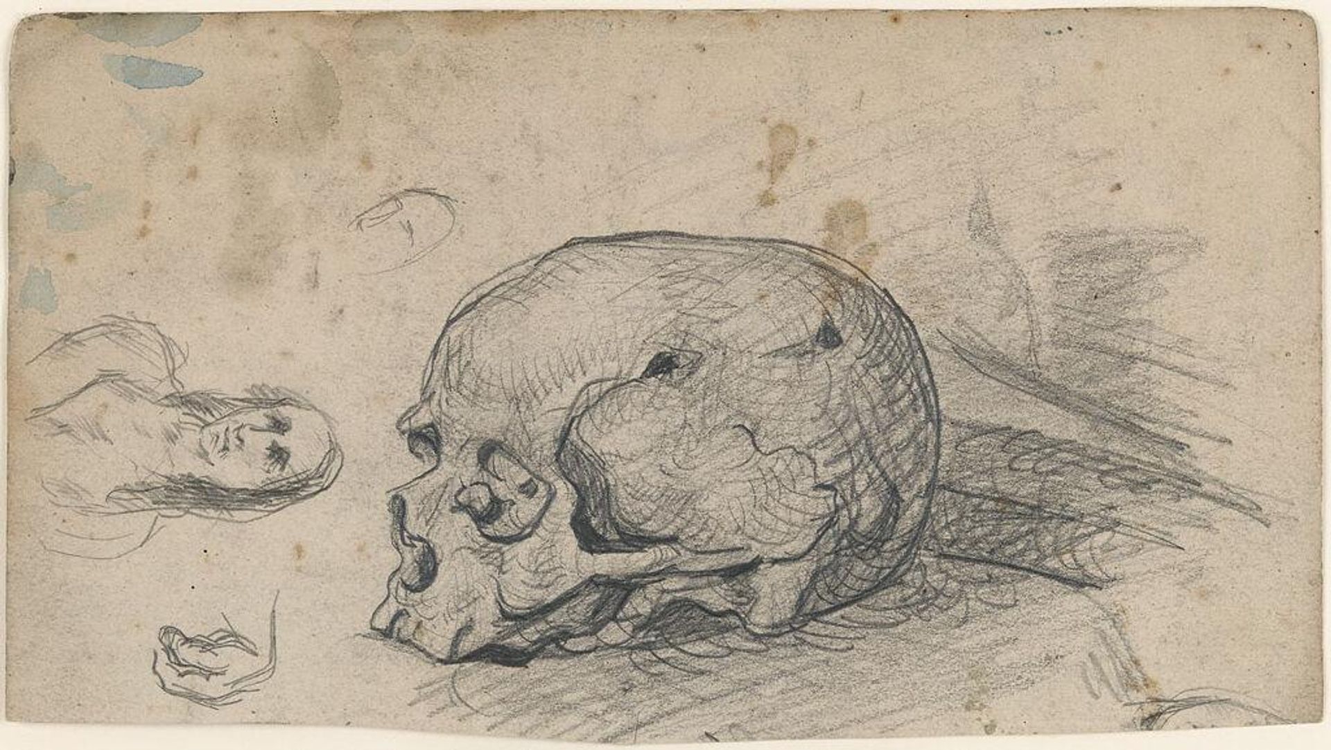 Sheet of Studies, including a Skull by Paul Cézanne