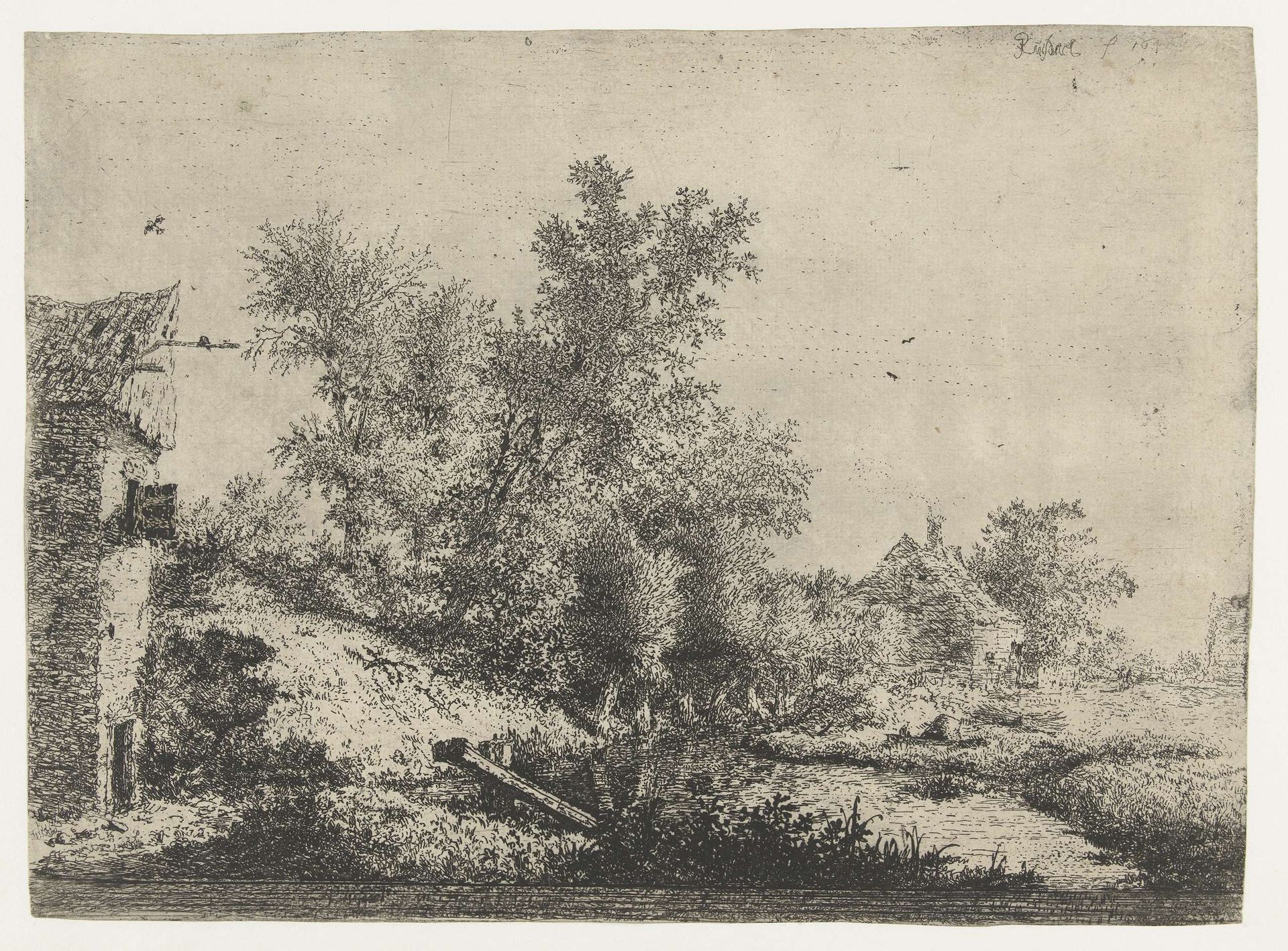 Boerderijen en een boomgroep bij een smalle rivier by Jacob van Ruisdael