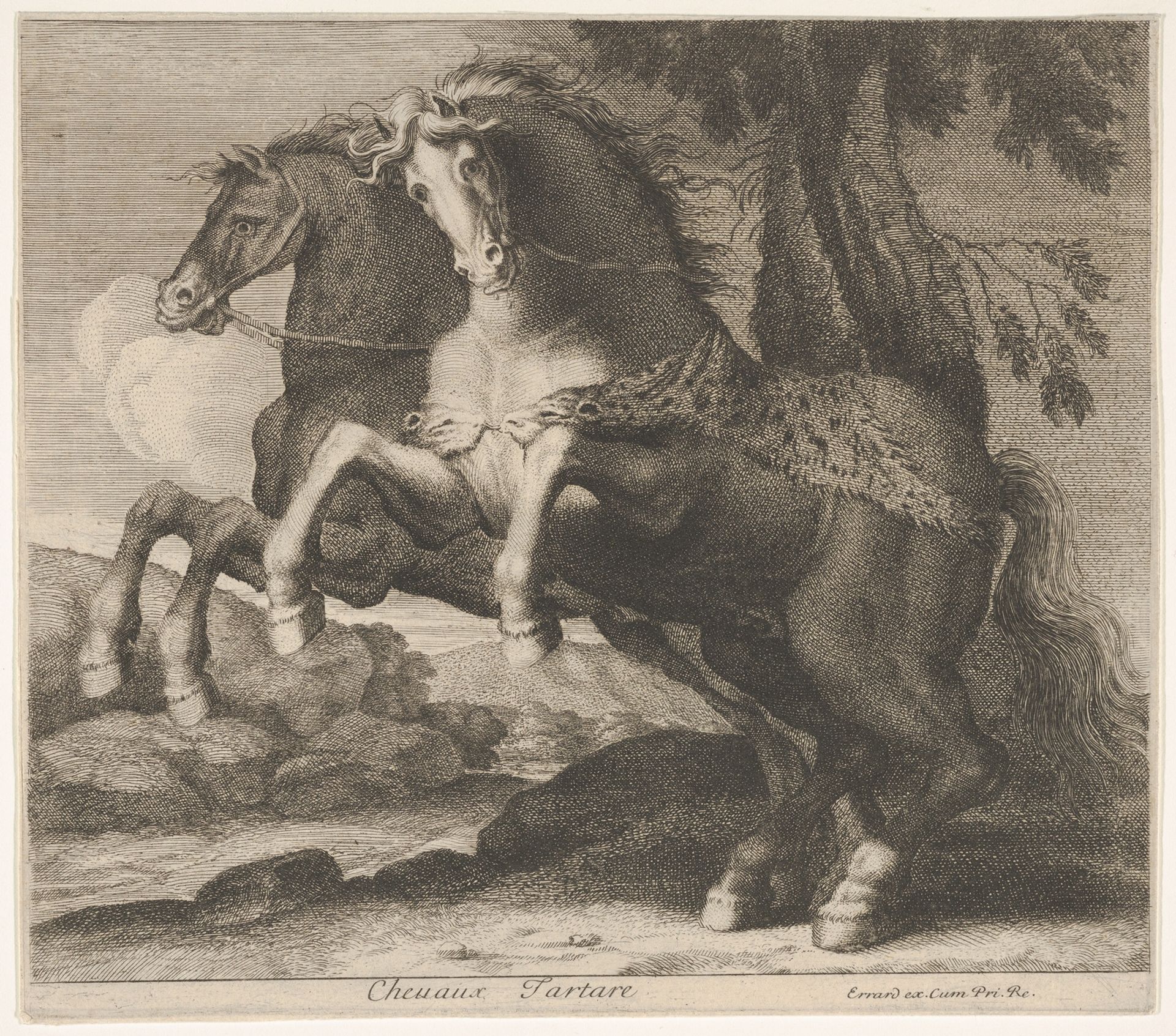 Chevaux Tartare by Charles Errard le fils