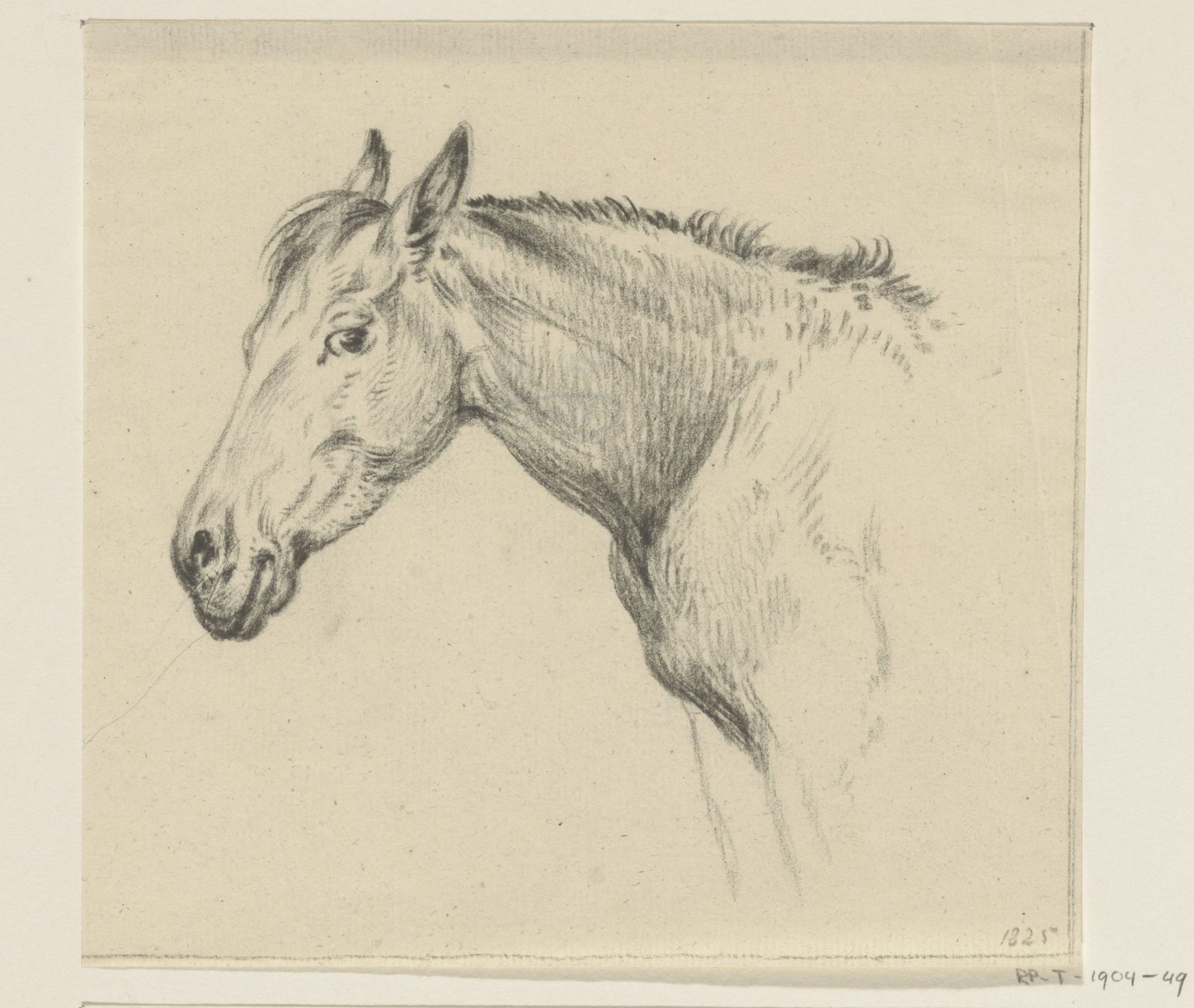 Hoofd van een paard, naar links by Jean Bernard