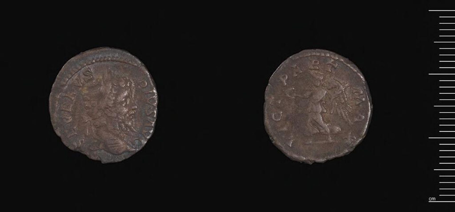 Denarius of Septimius Severus by Septimius Severus