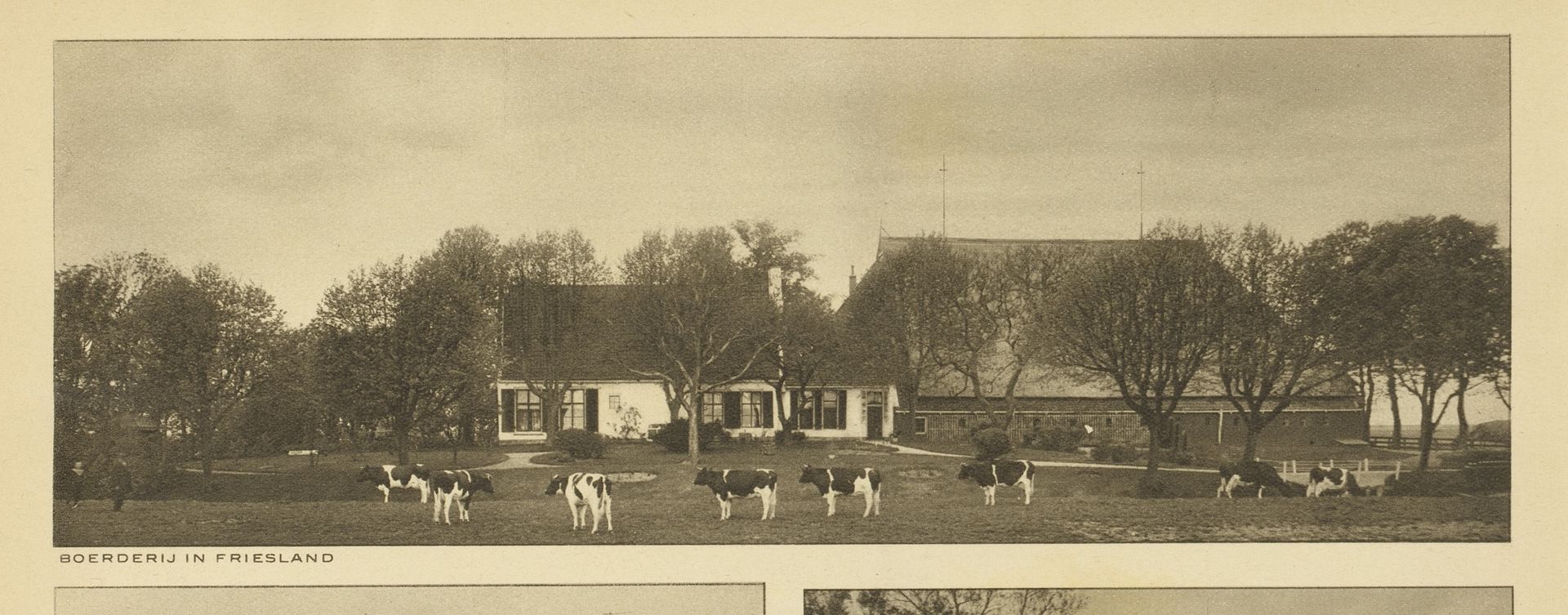 Gezicht op een boerderij in Friesland by Anonymous