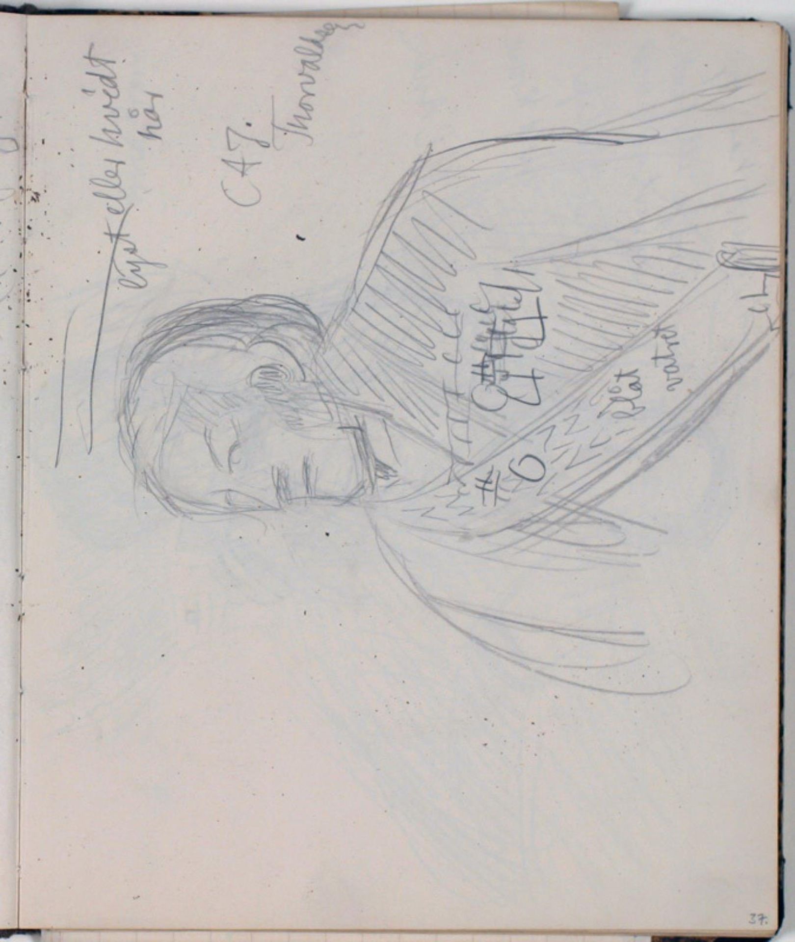Studie af Thorvaldsen efter maleri af C. A. Jensen. Farveangivelser by Niels Larsen Stevns