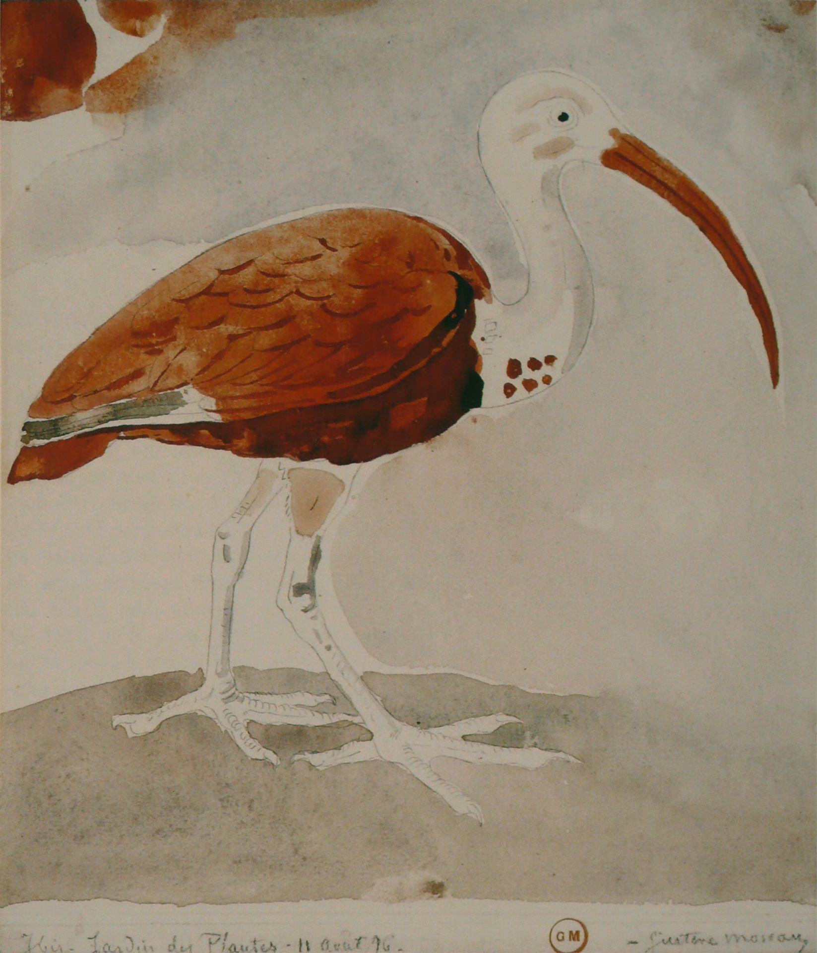 Ibis by Gustave Moreau