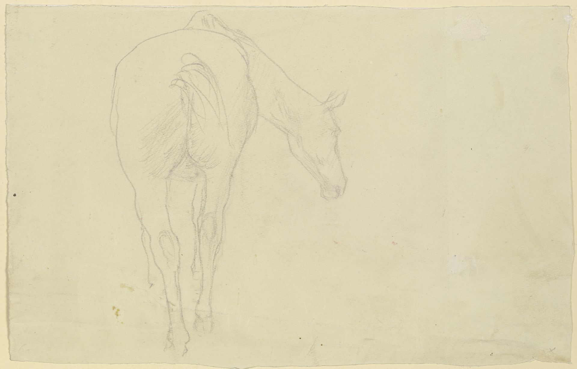 Pferd in Rückansicht, den Kopf nach rechts geneigt by Wilhelm Rietschel