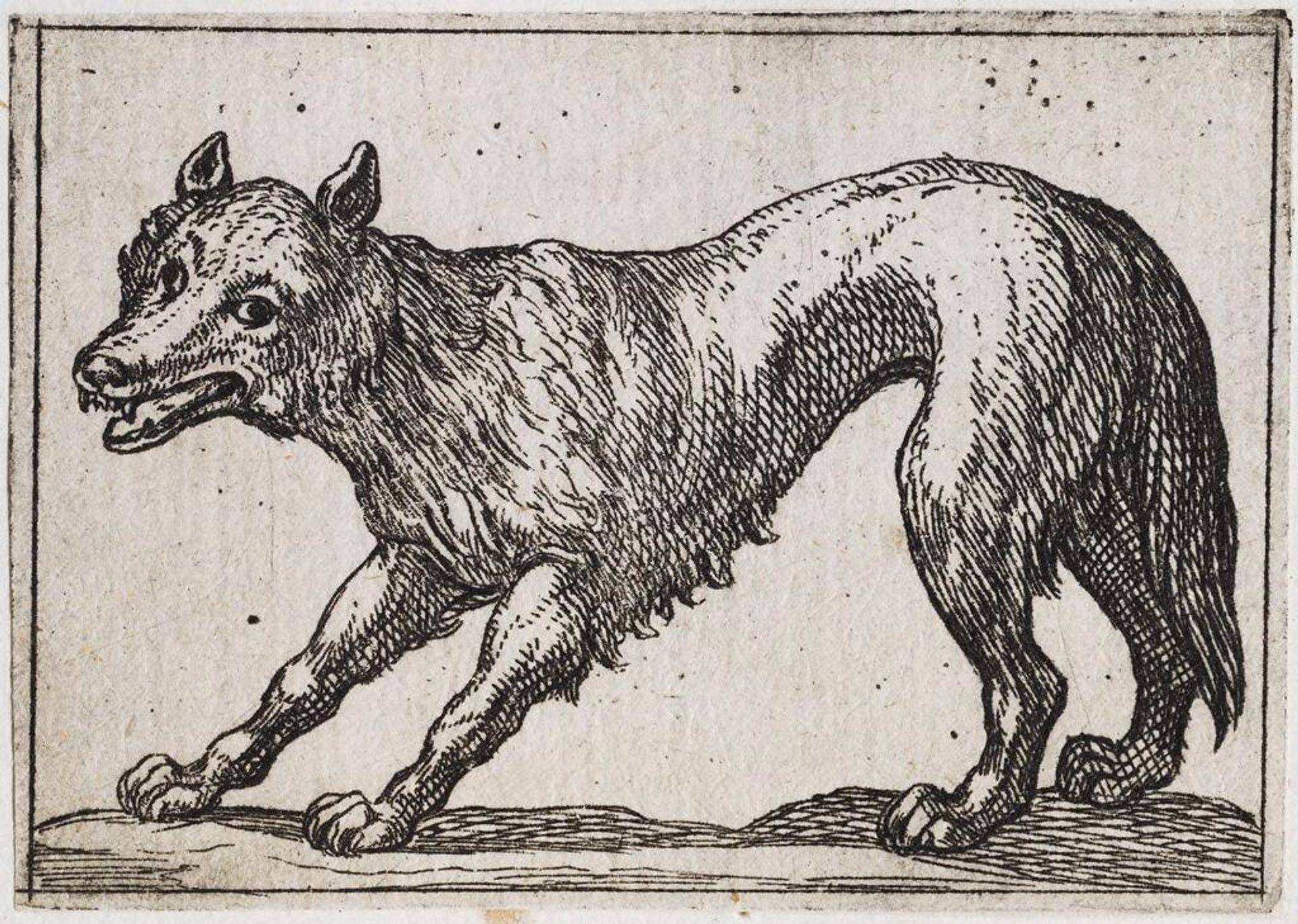 Standing Fox by Antonio Tempesta