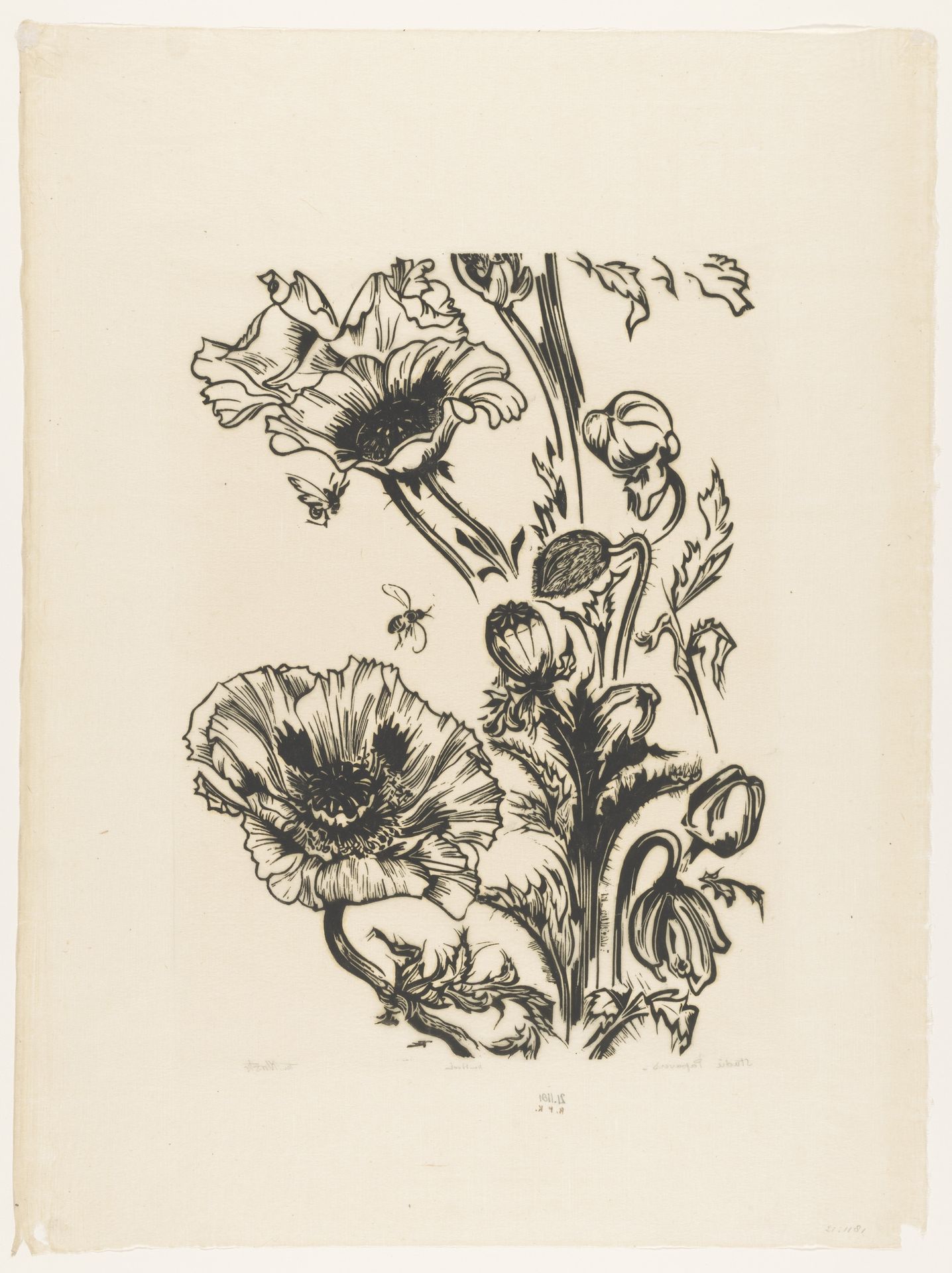 Studie papavers by Johannes Frederik Engelbert ten Klooster