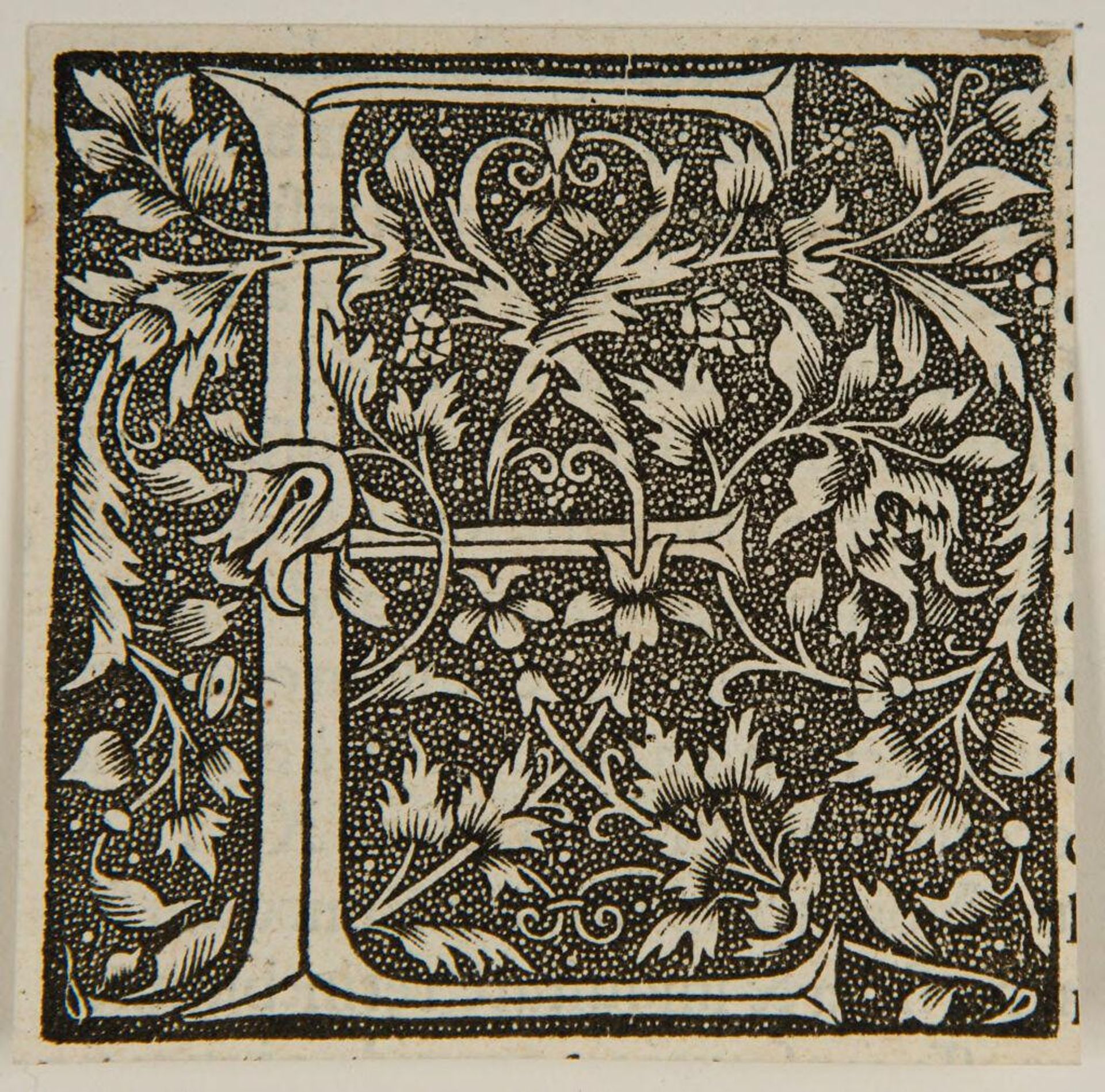 Letter E by Anonymous