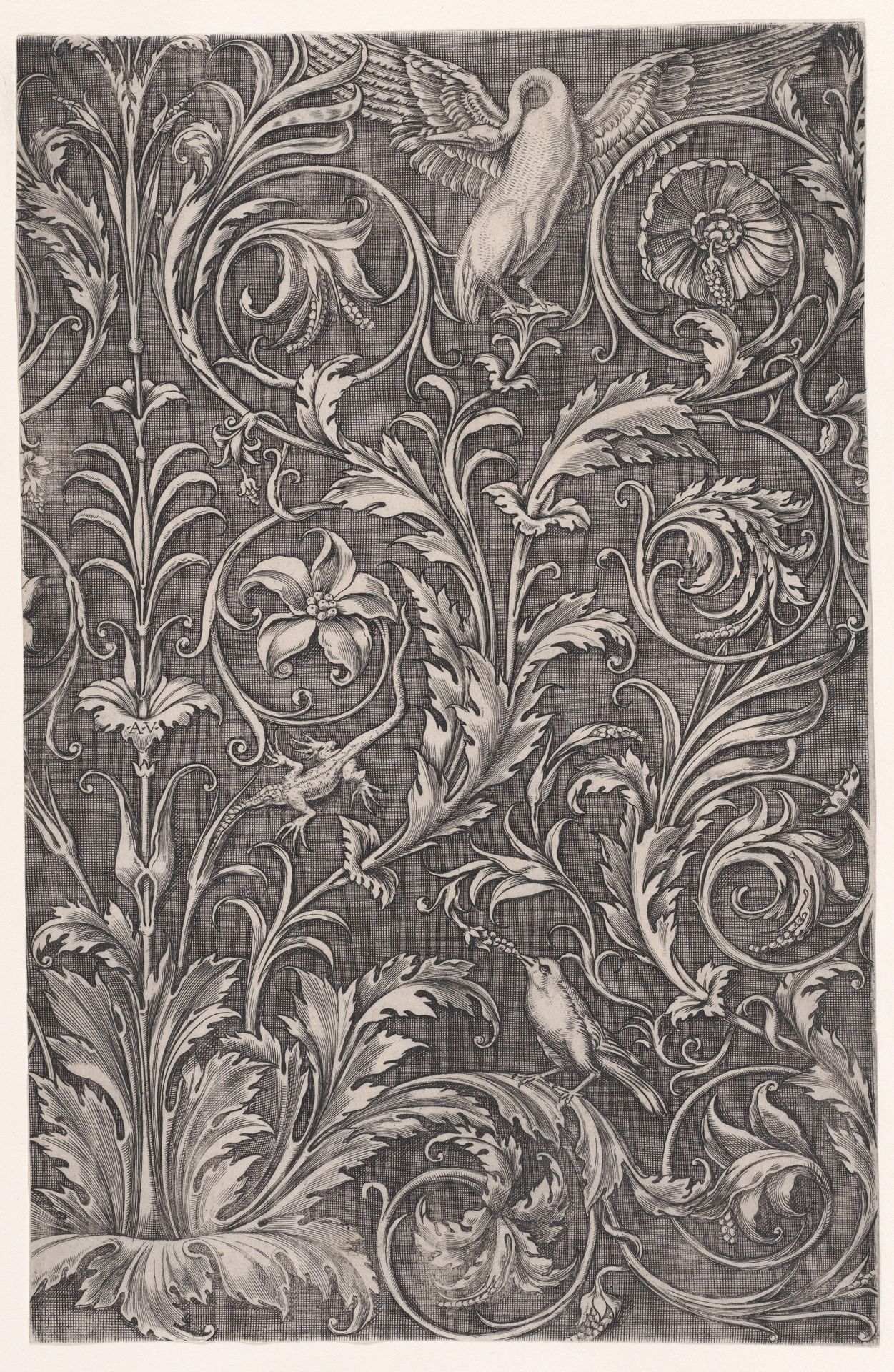 Ornamental Panel by Agostino Veneziano