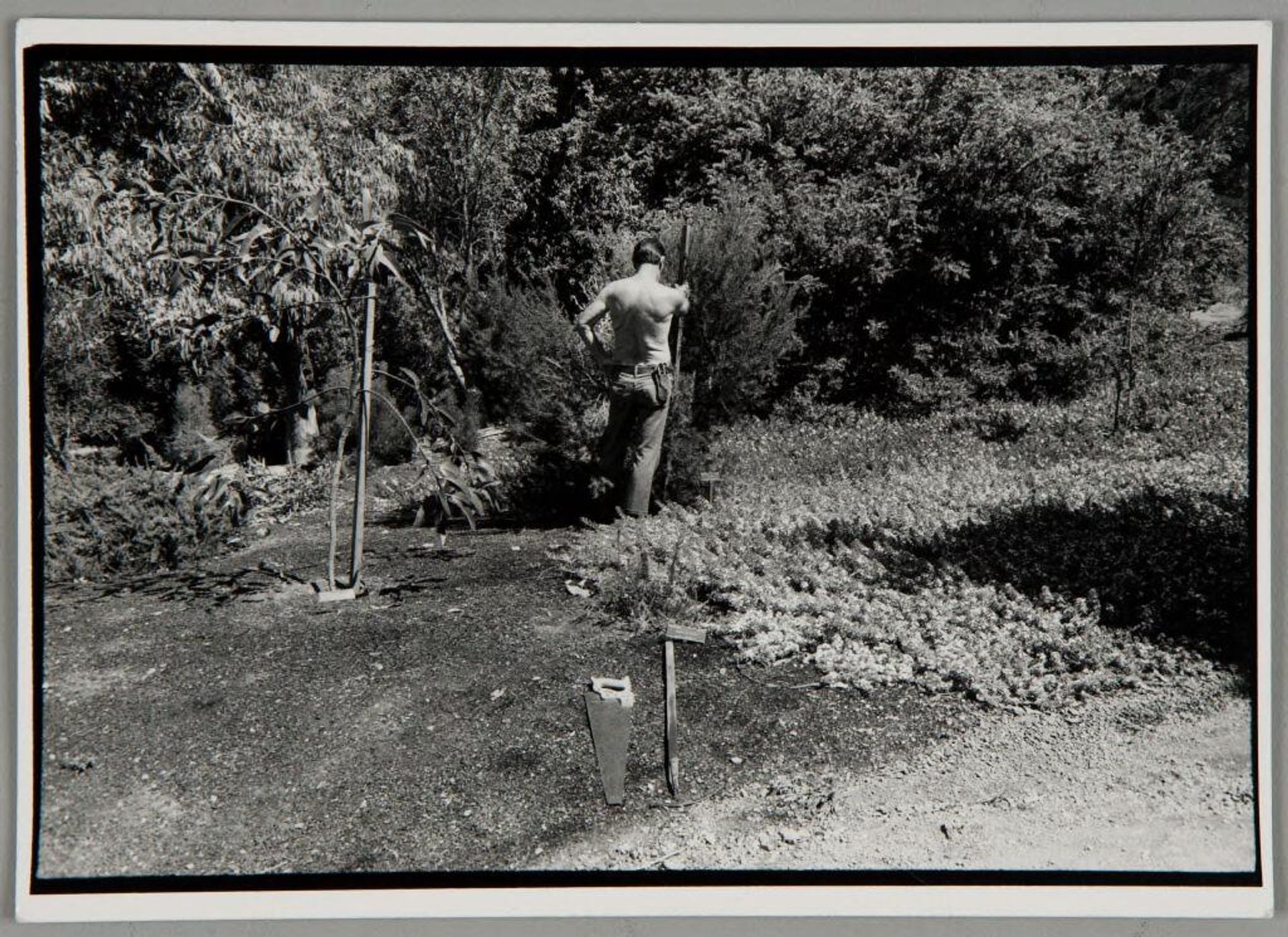 Untitled (Berkeley) by Bill Dane