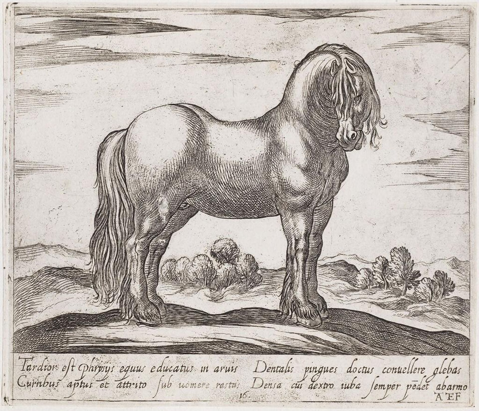 A Standing Horse, Facing Right by Antonio Tempesta
