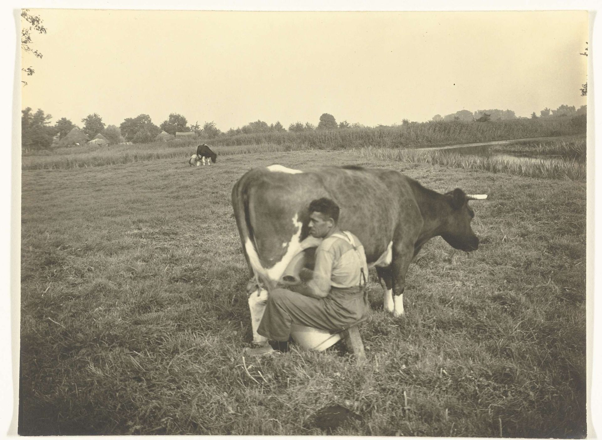 Man melkt een koe by Richard Tepe