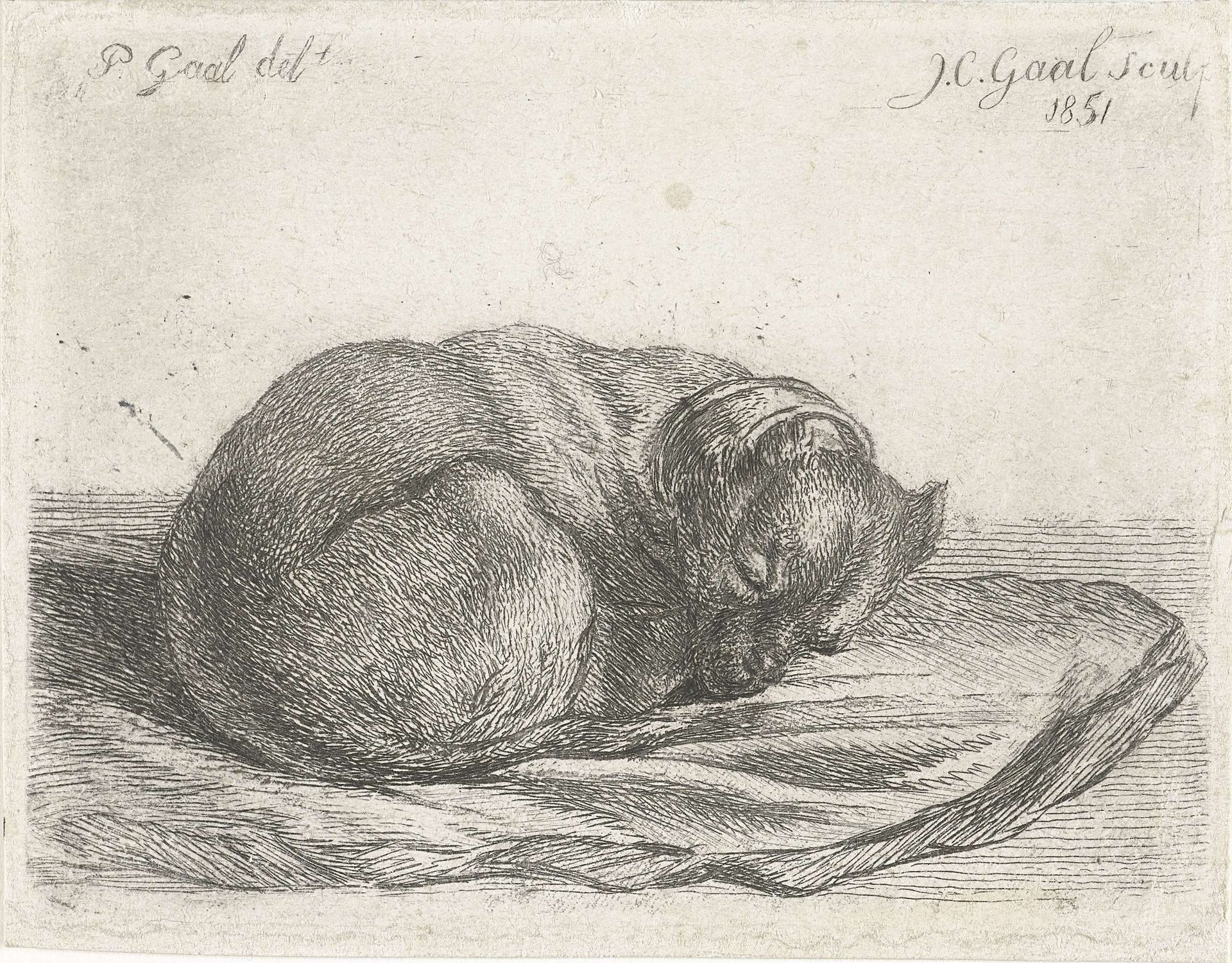 Slapende hond, liggend op een deken by Jacobus Cornelis Gaal