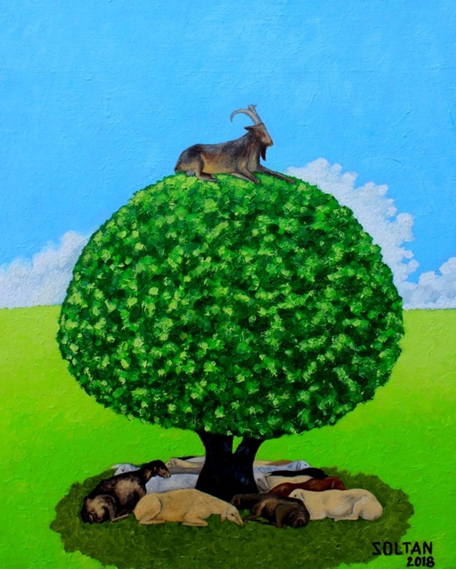 At the Top of the Tree by Soltan Soltanlı