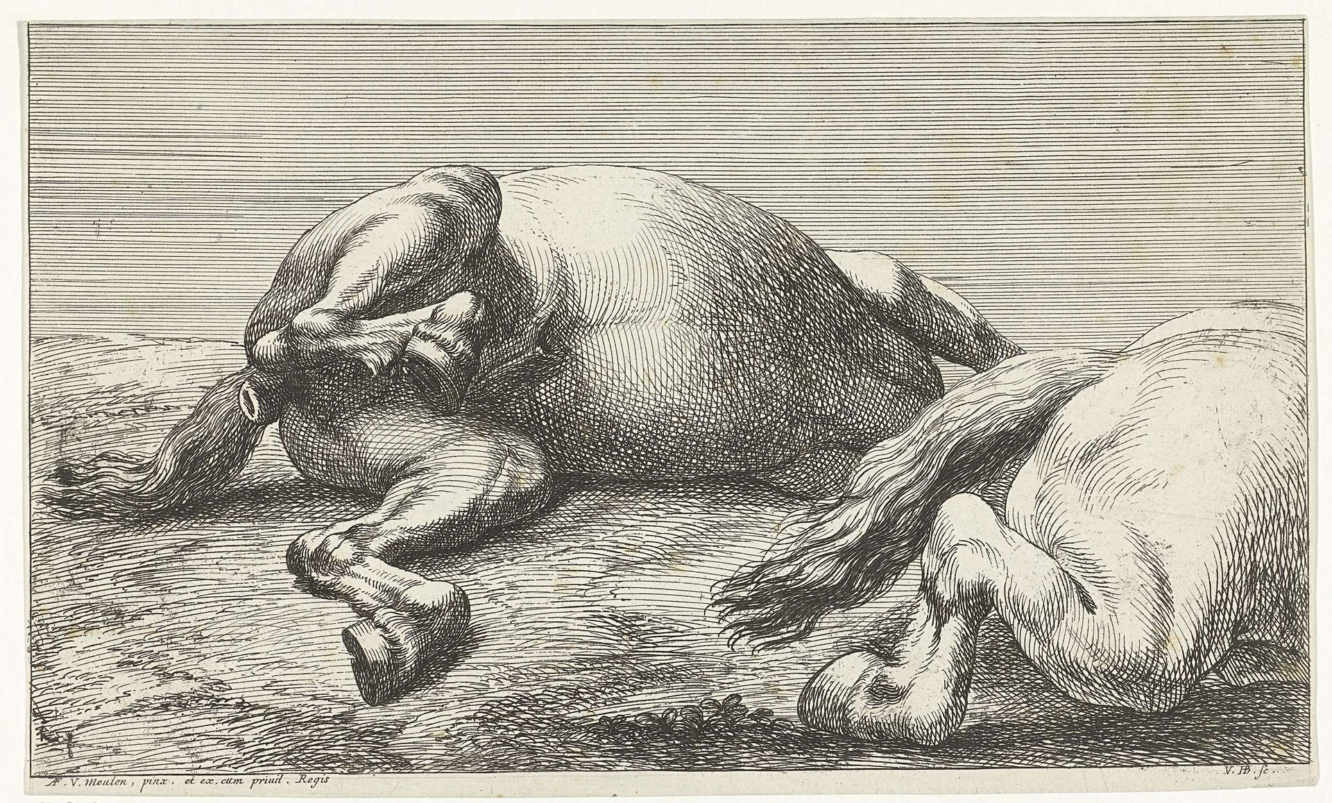Twee gesneuvelde paarden waarvan de rechter van de zijkant gezien by Jan van Huchtenburg