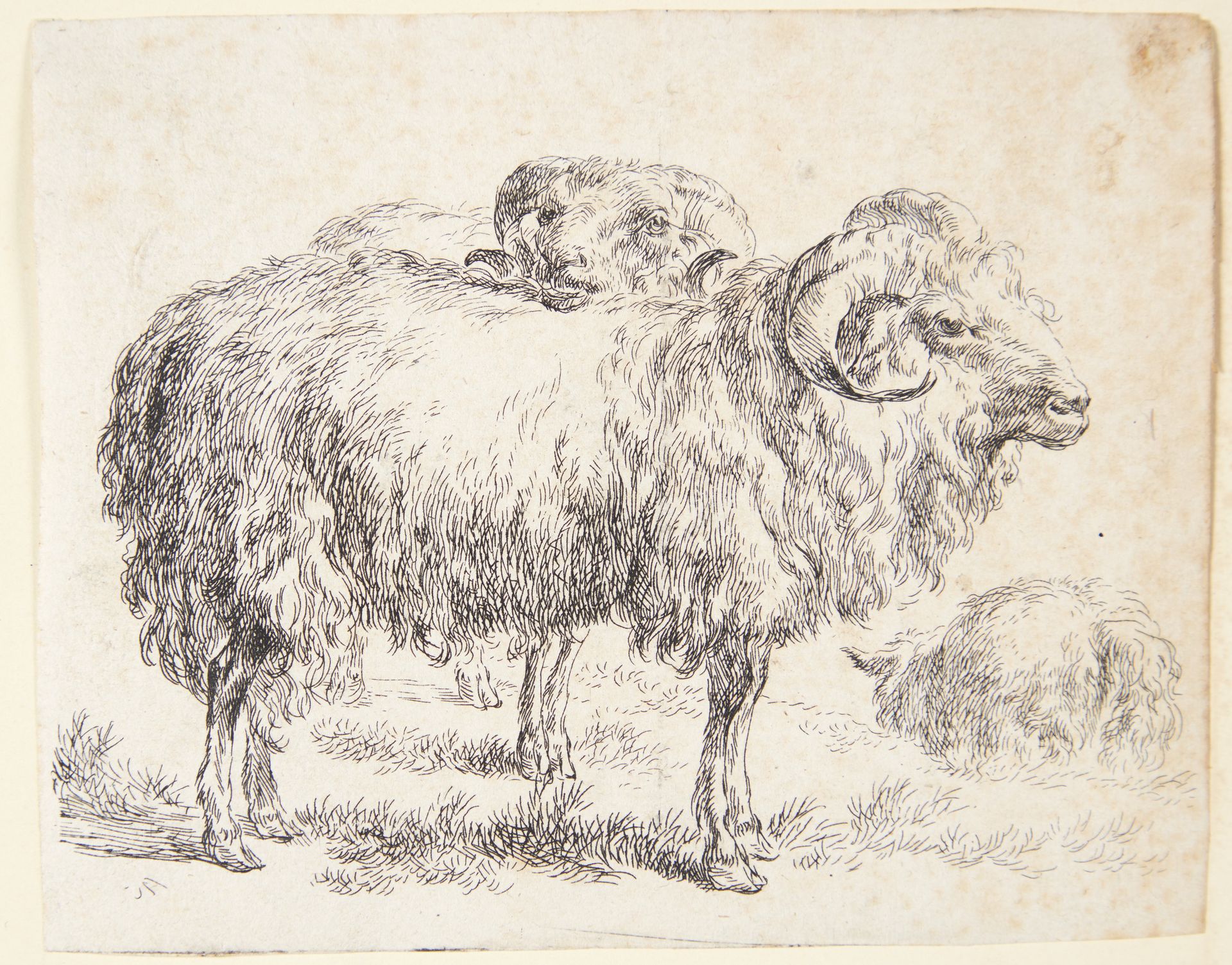 To væddere by Nicolaes Berchem