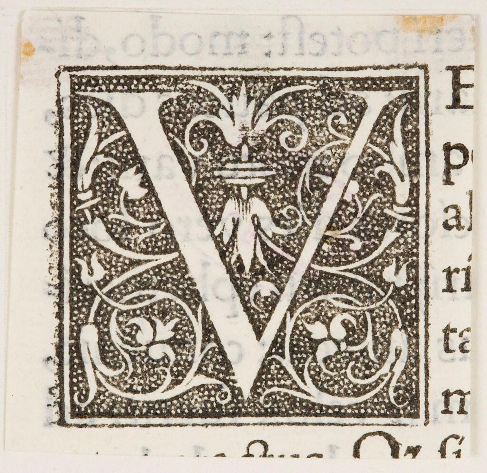 Capital V by Anonymous