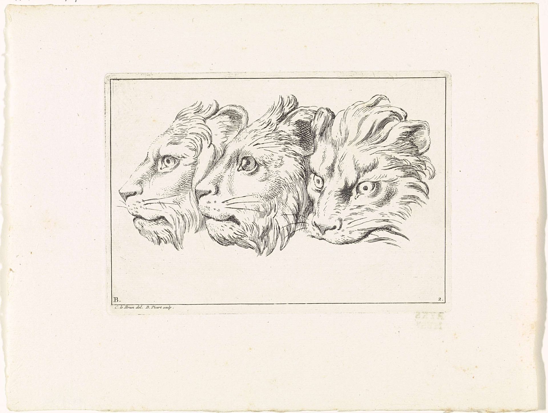 Drie leeuwenkoppen by Bernard Picart