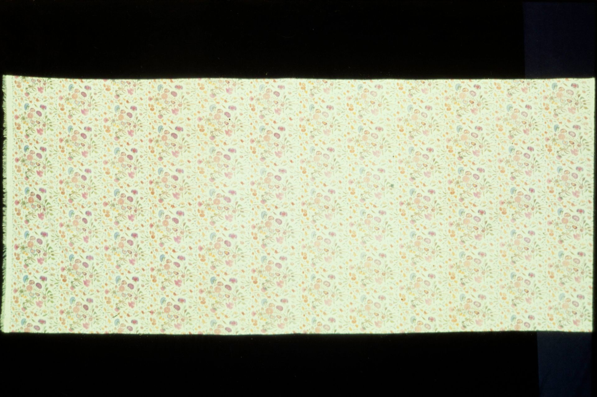 Shawl by Anonymous