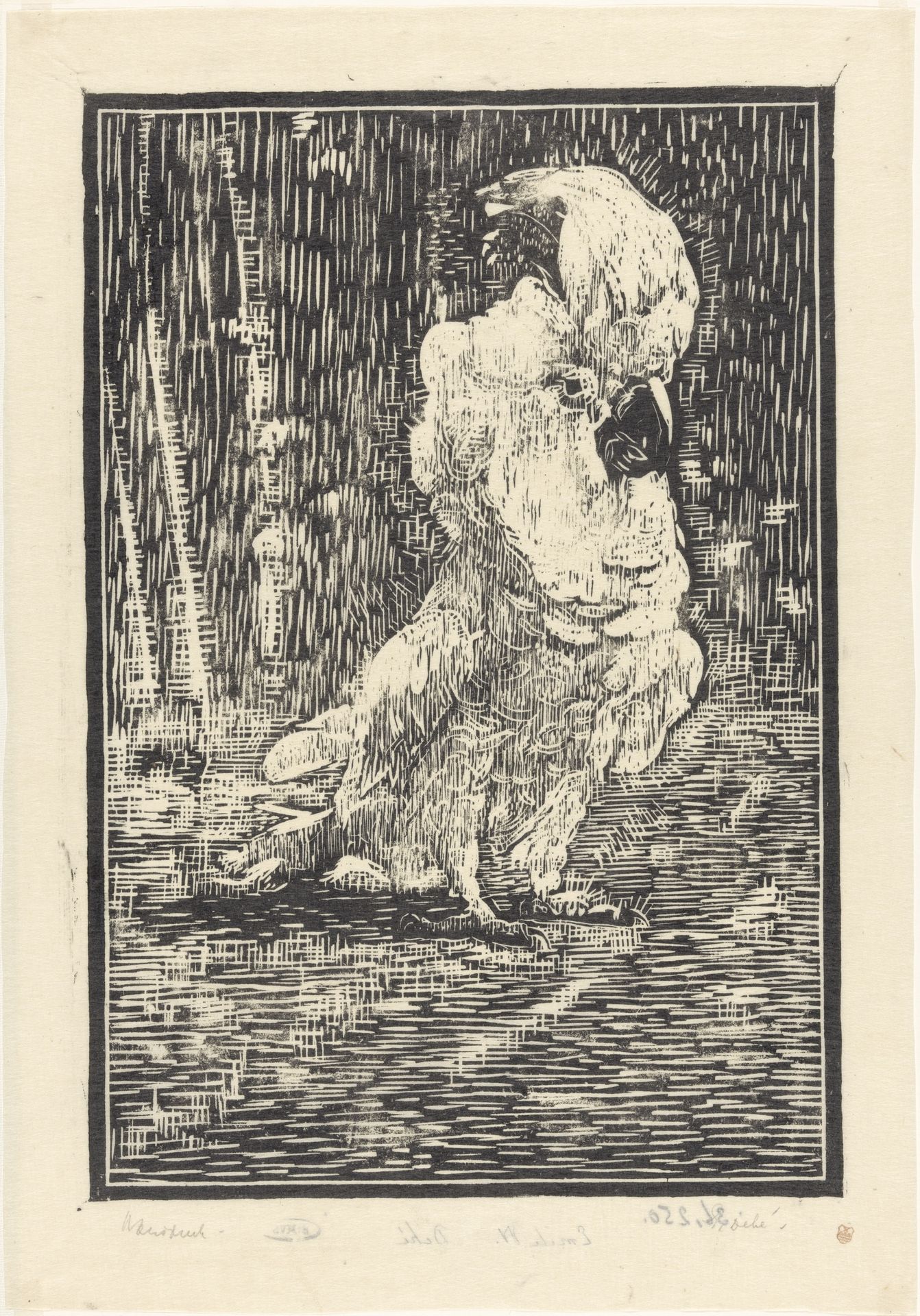 Kaketoe by Emilius Wilhelmus Dehé