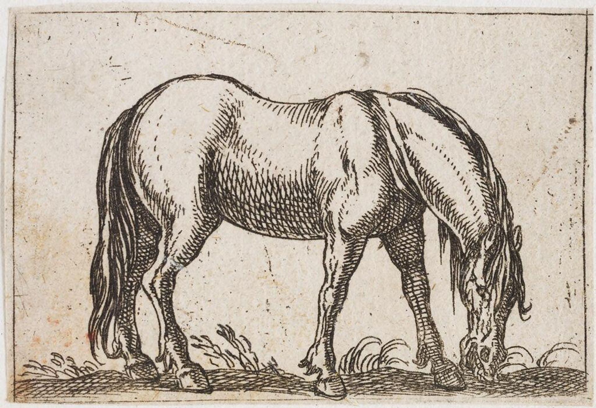 Grazing Horse, Facing Right by Antonio Tempesta