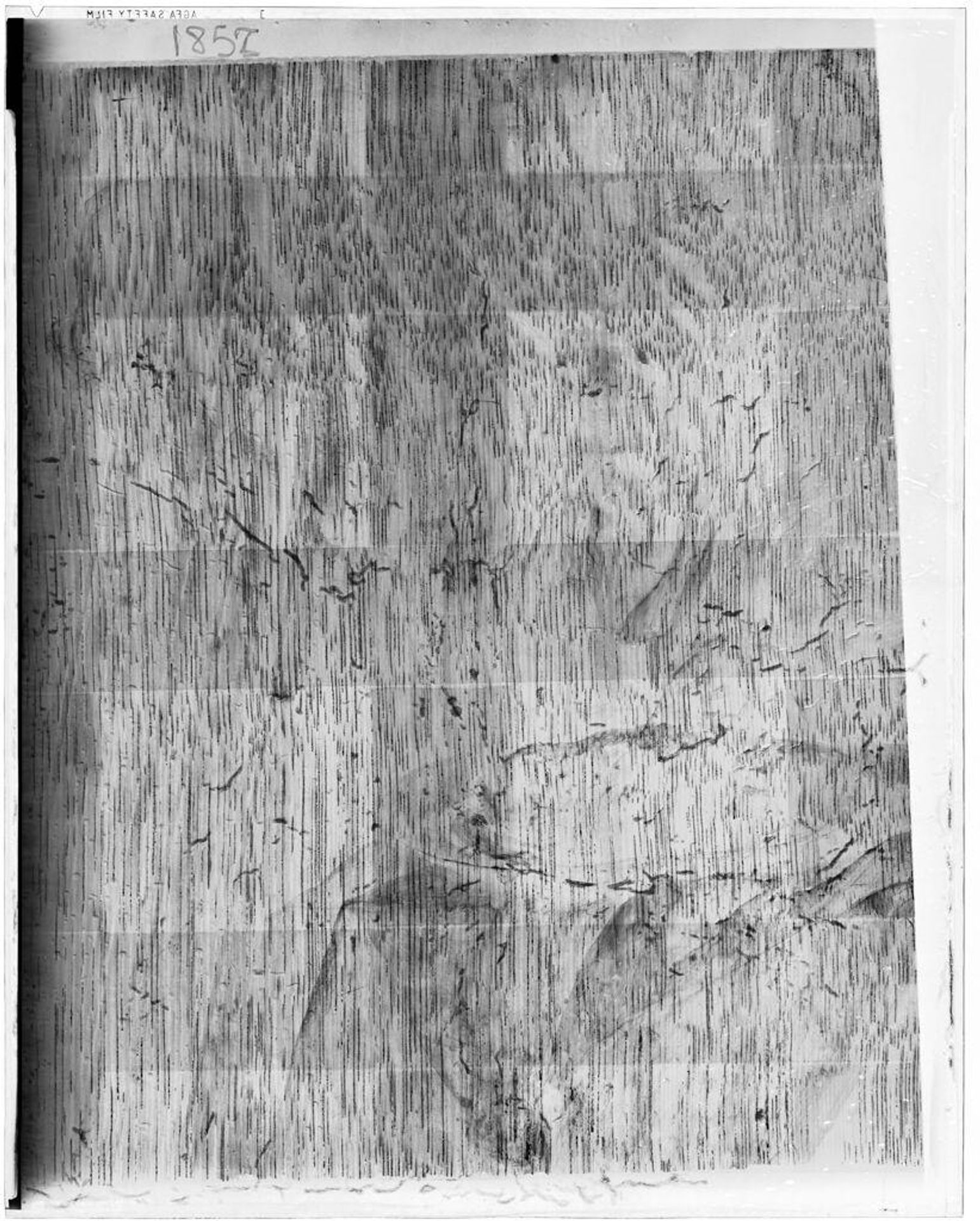 X-radiograph(s) of "Happy Couple (copy)" by Artist of original: Jan Steen