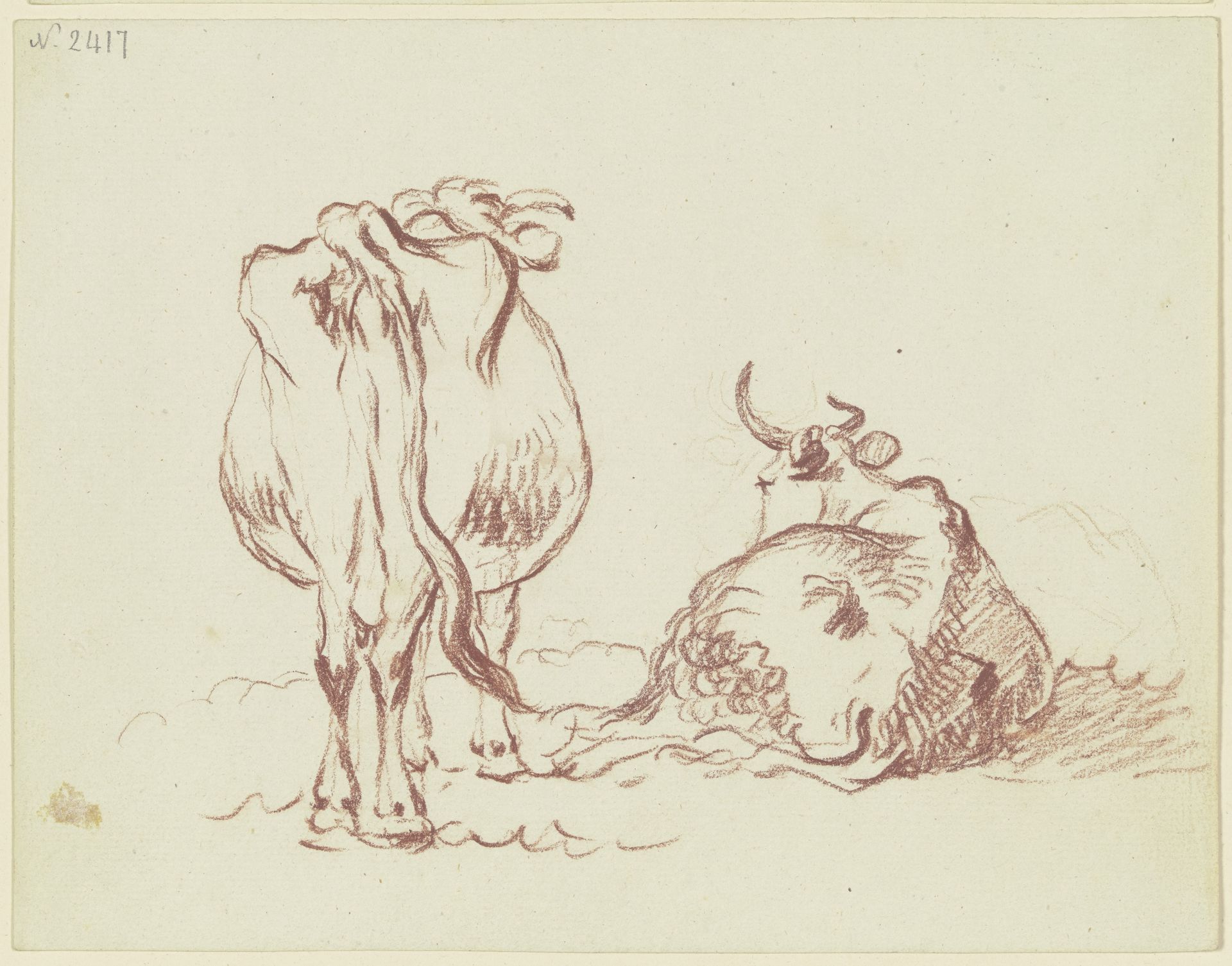 Zwei Rinder, eines stehend, eines liegend, beide rückansichtig, das liegende in starker Verkürzung by Friedrich Wilhelm Hirt