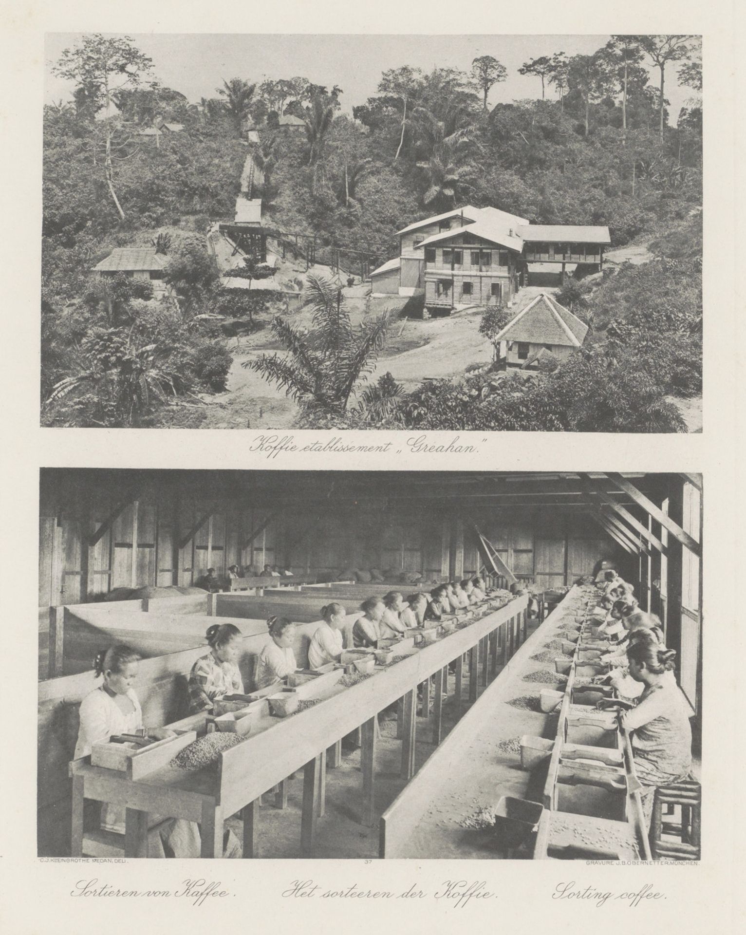 Koffie-etablissement 'Greahan' (boven) en koffiesorteersters in een schuur (onder) op Sumatra by Carl J. Kleingrothe