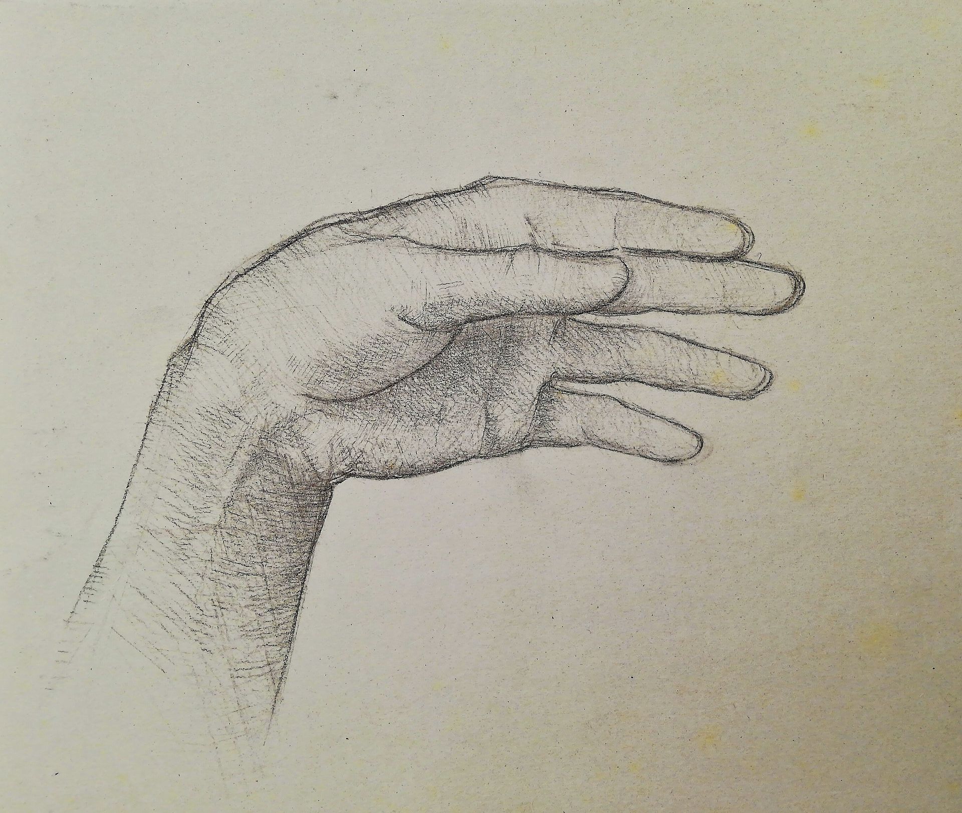 The study of the hand by Alfred Freddy Krupa