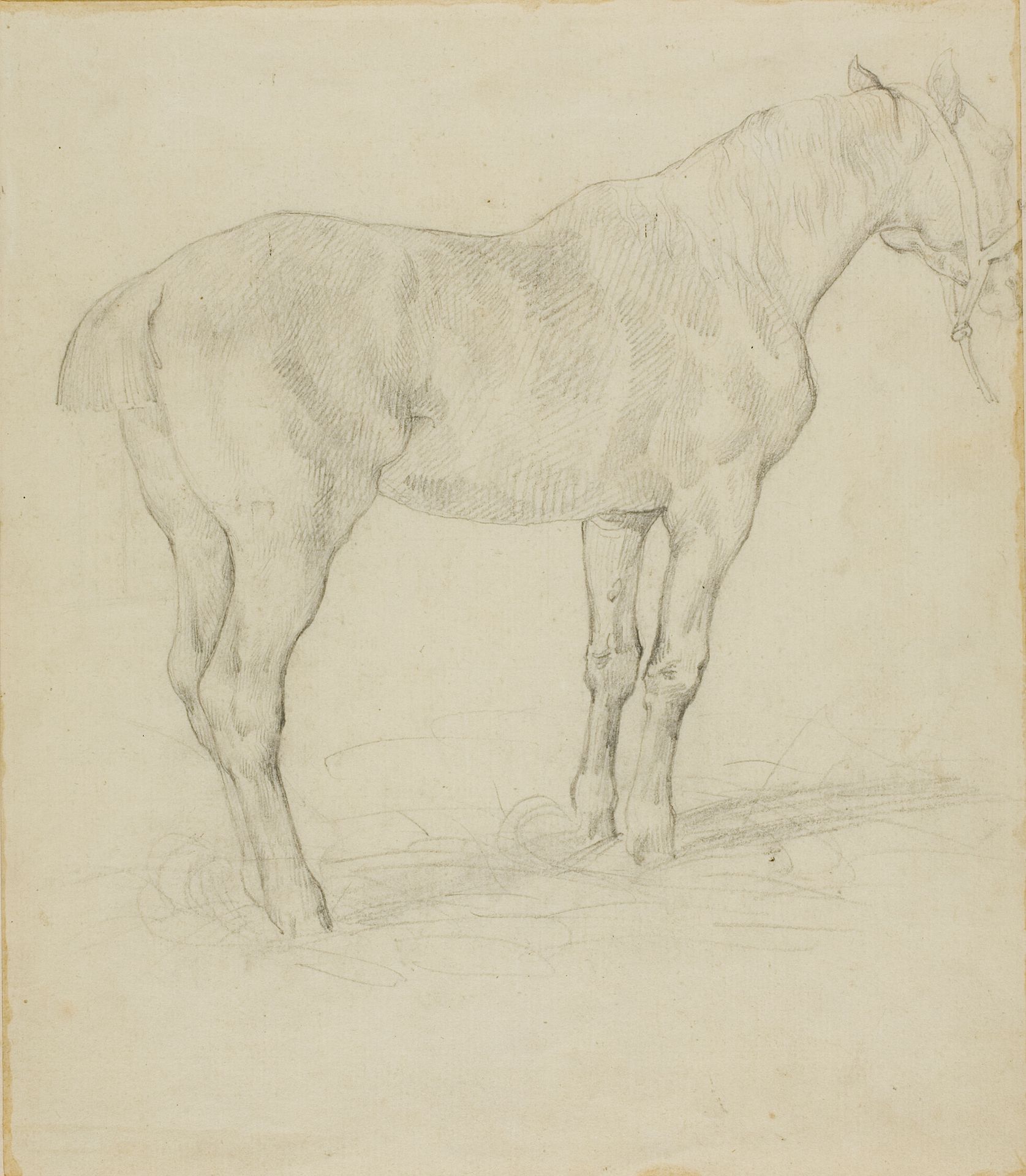 Standing Horse by Théodore Géricault