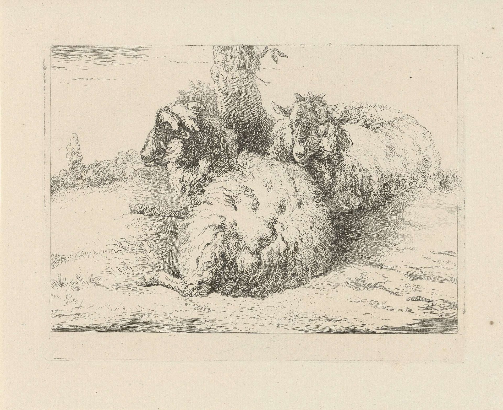 Liggende schapen by Pieter Gerardus van Os