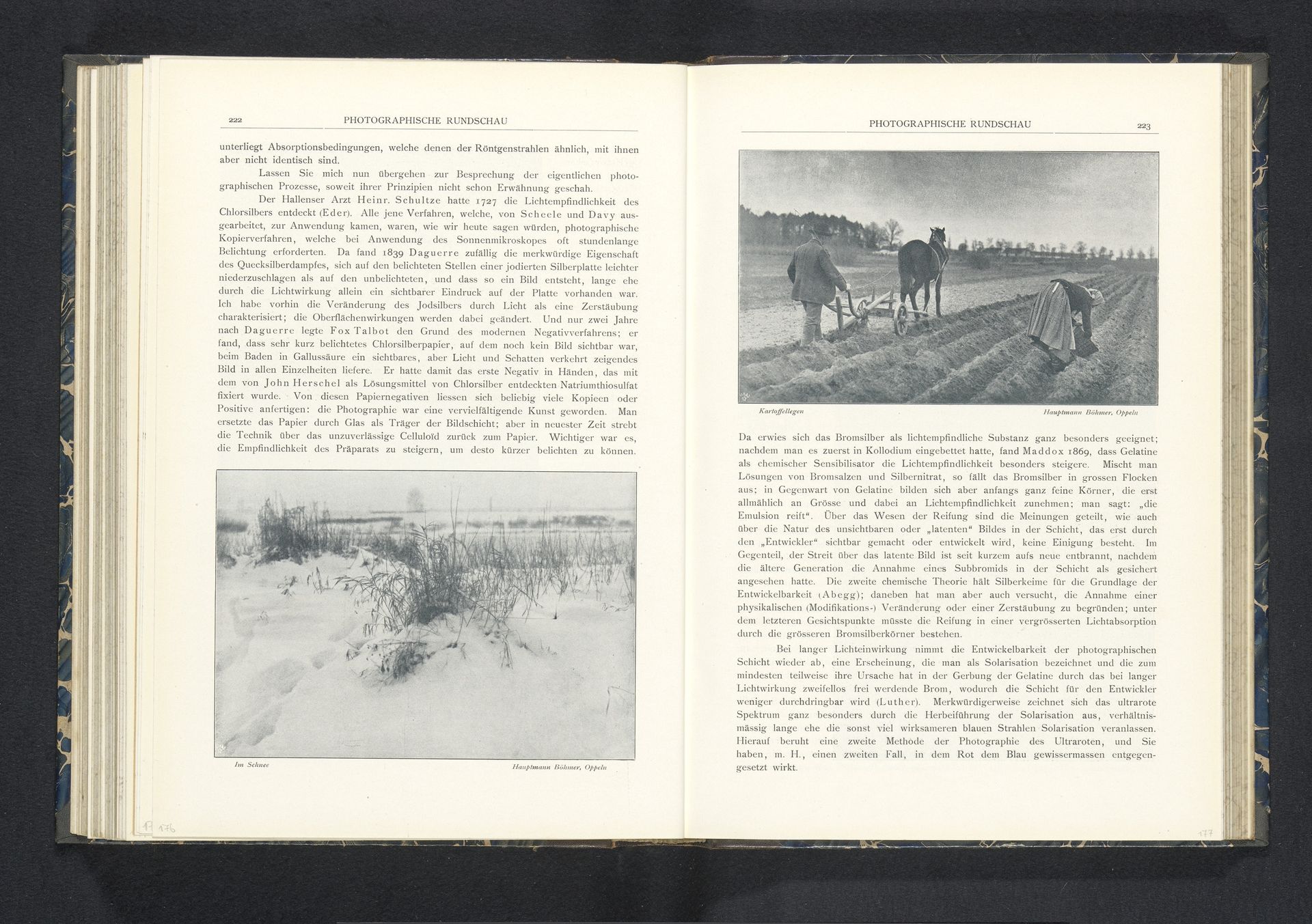 Riet in de sneeuw by Hauptmann A. Böhmer