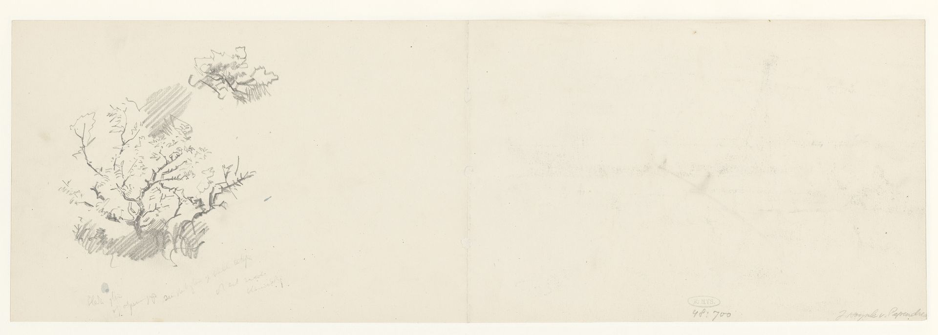 Schets van struiken by Jan Hoynck van Papendrecht