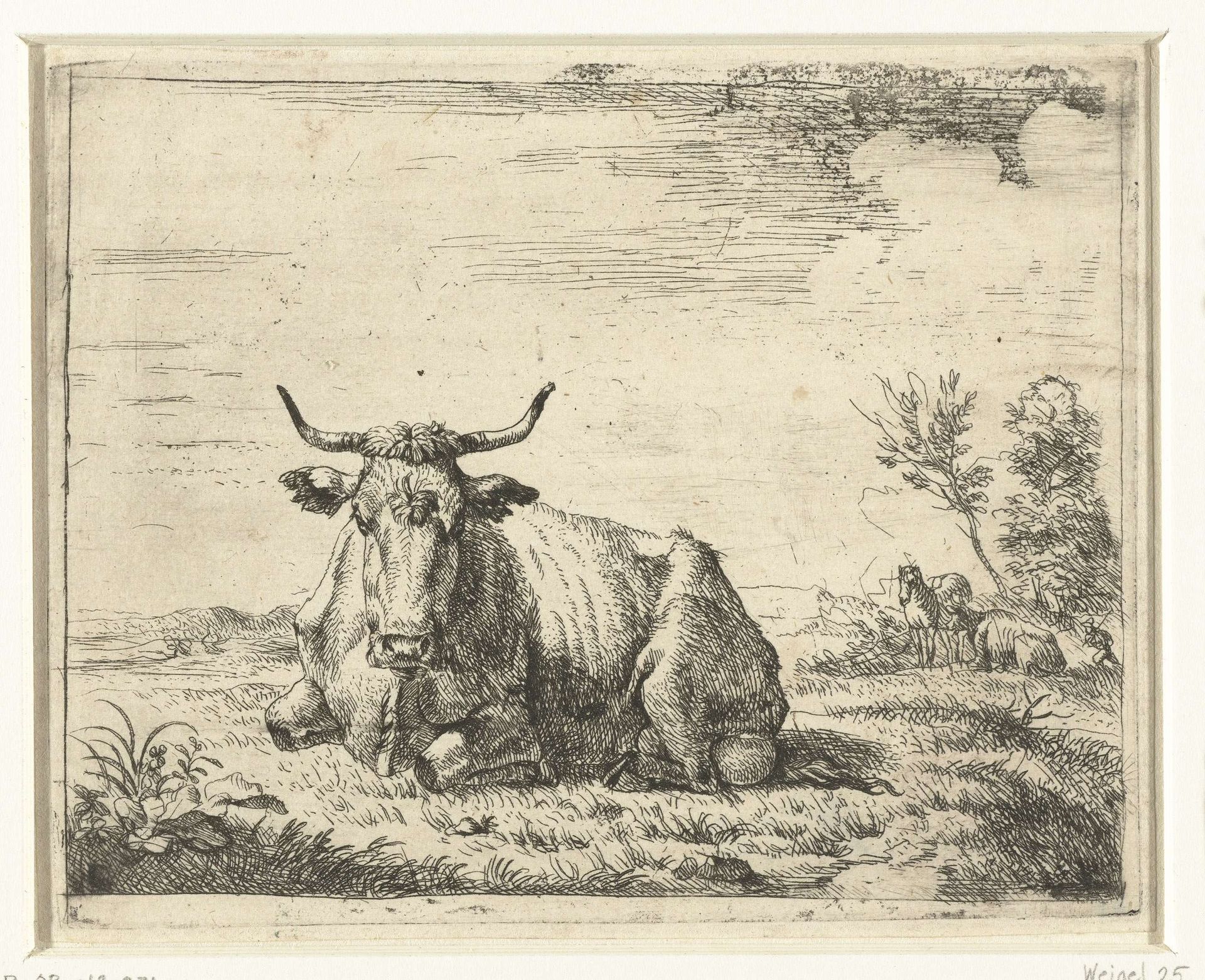 Liggende koe by Adriaen van de Velde
