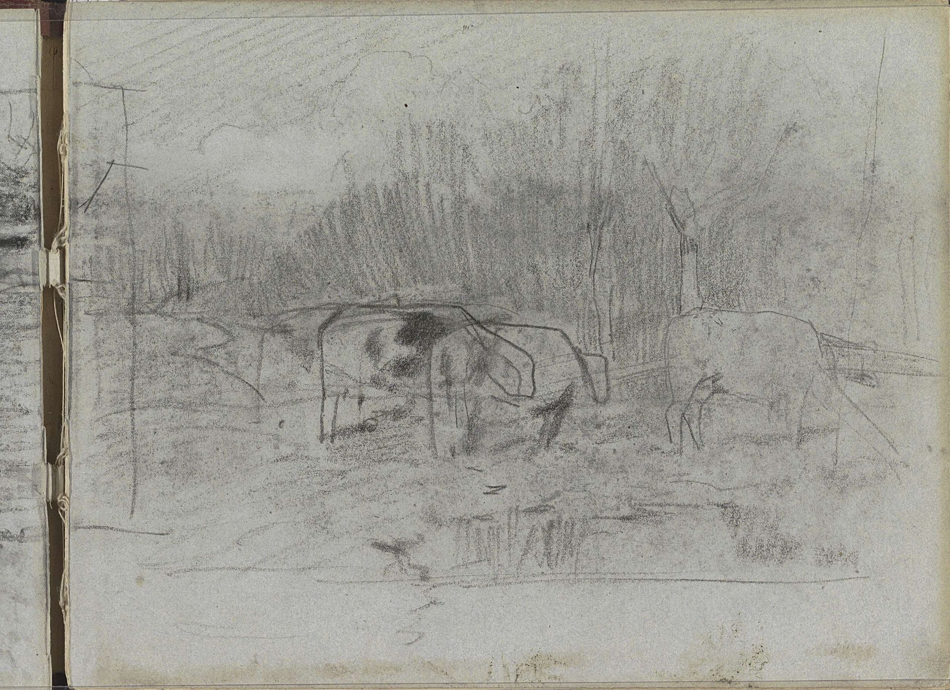 Koeien in een weiland by Anton Mauve