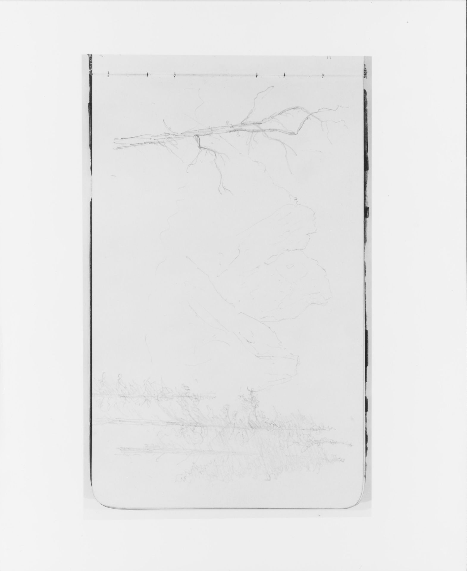 Canadian Landscape with Mountains and Trees (from Sketchbook) by Albert Bierstadt