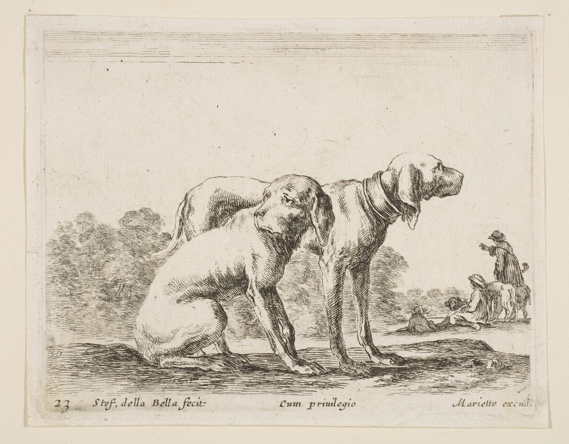 Plate 23: two hounds, from 'Various animals' (Diversi animali) by Stefano della Bella