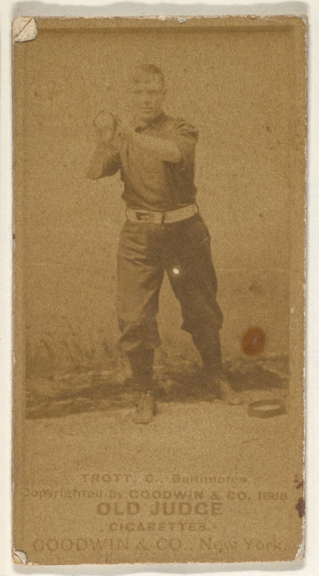 Trott, Catcher, Baltimore Orioles, from the Old Judge series (N172) for Old Judge Cigarettes by Goodwin & Company