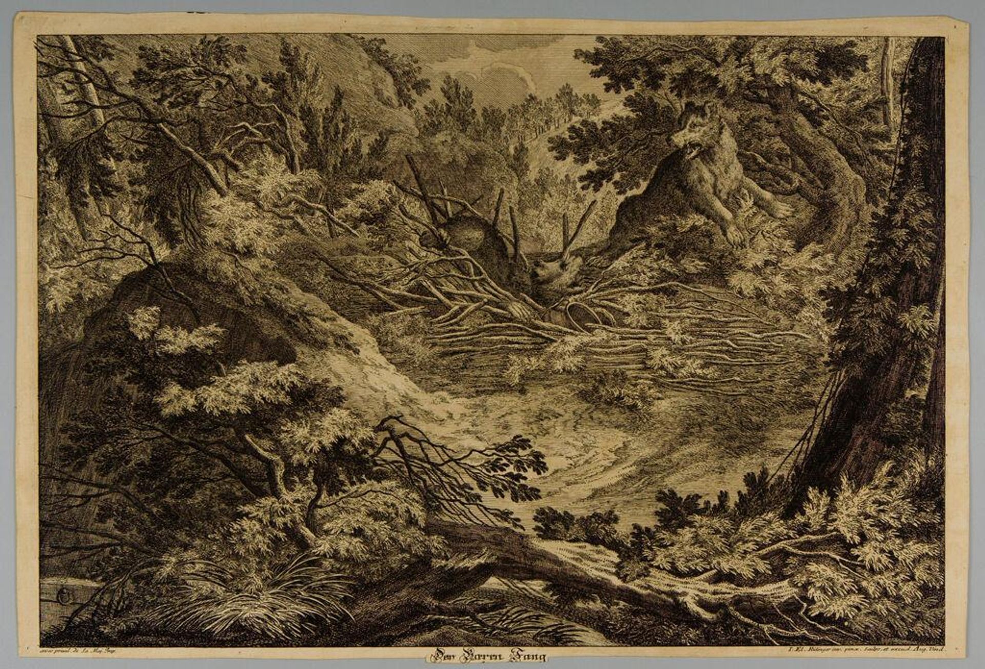 Bear Catching by Johann Elias Ridinger
