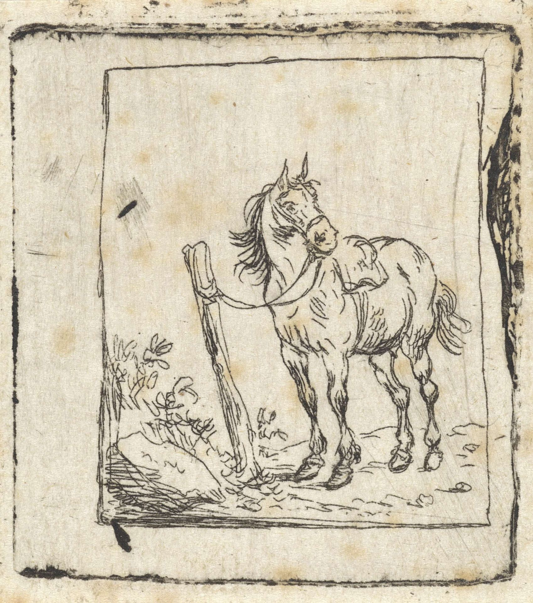 Staand paard naar links by Pieter Cornelisz. Verbeeck