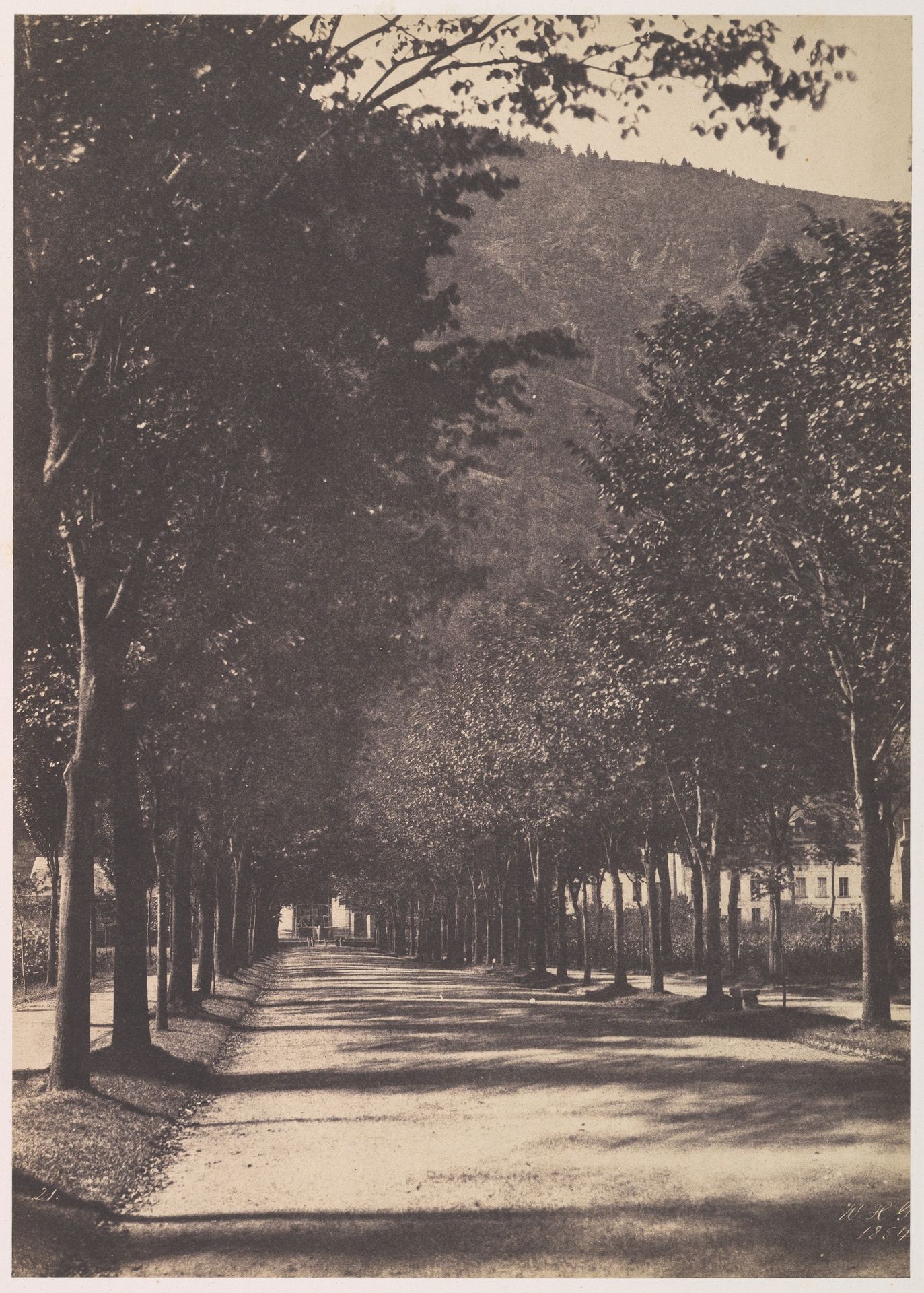 [Allée of Trees, Pau] by William Henri Gebhard